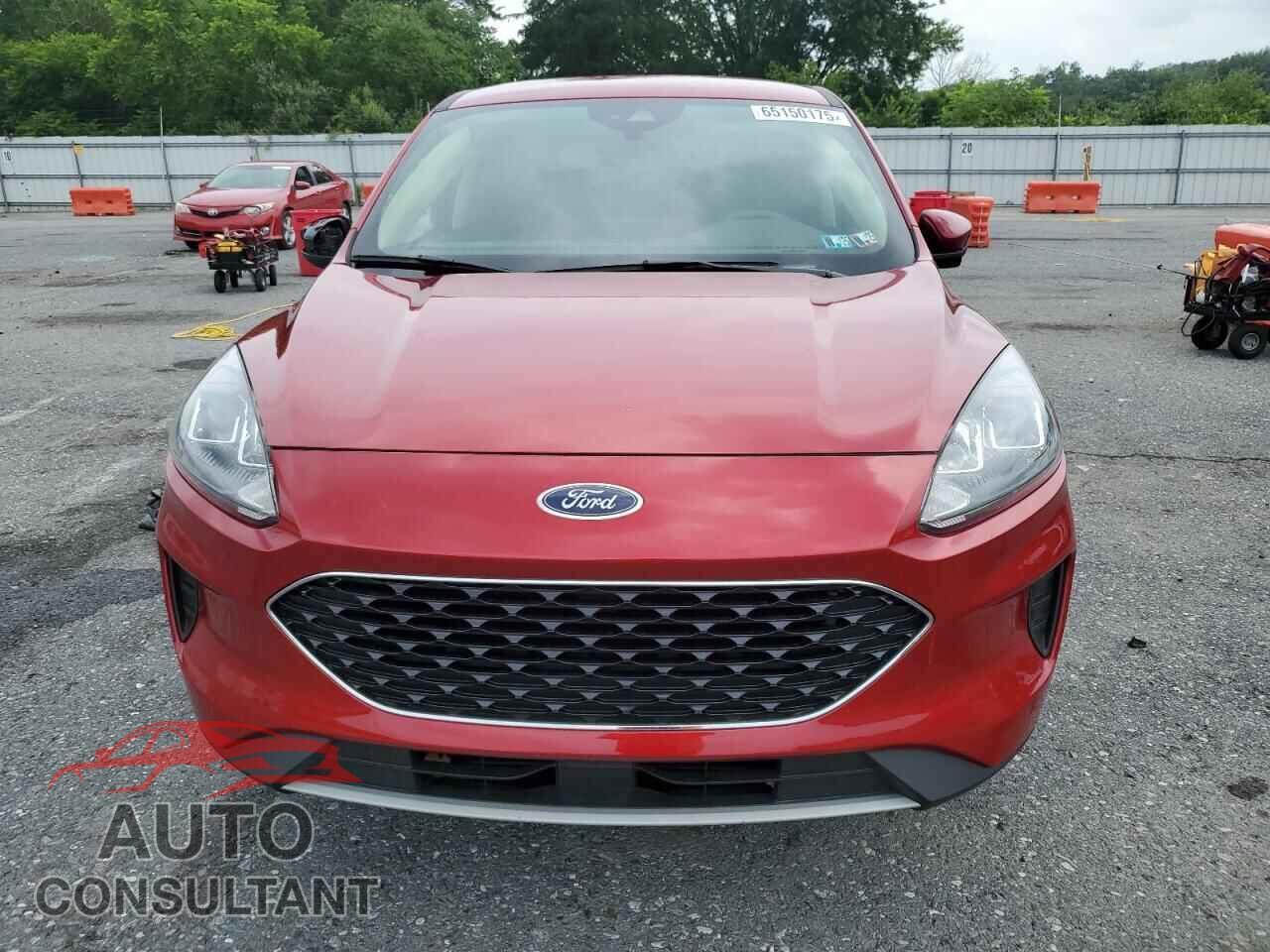 FORD ESCAPE 2020 - 1FMCU9G66LUA21105