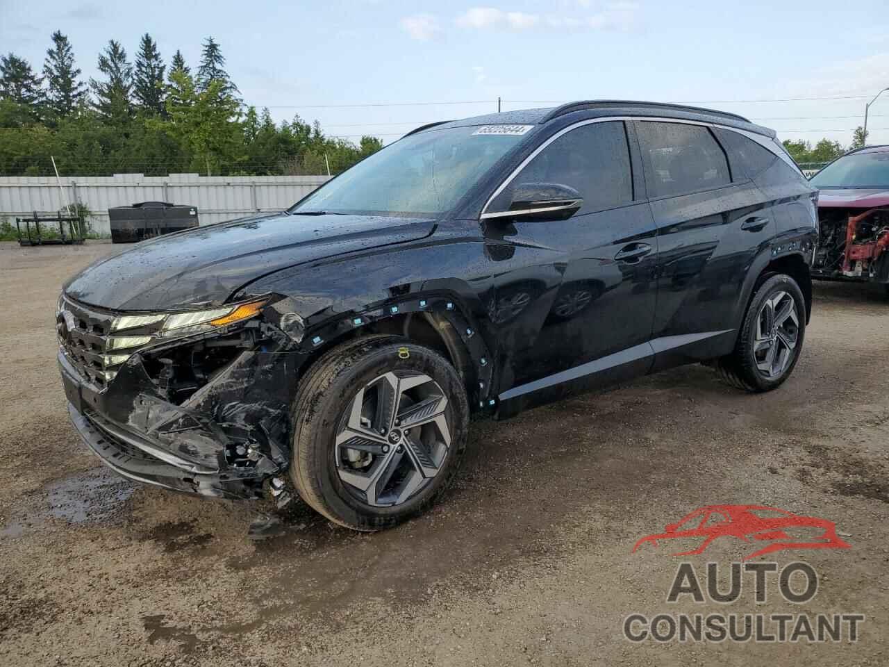 HYUNDAI TUCSON 2024 - KM8JCCD13RU177174