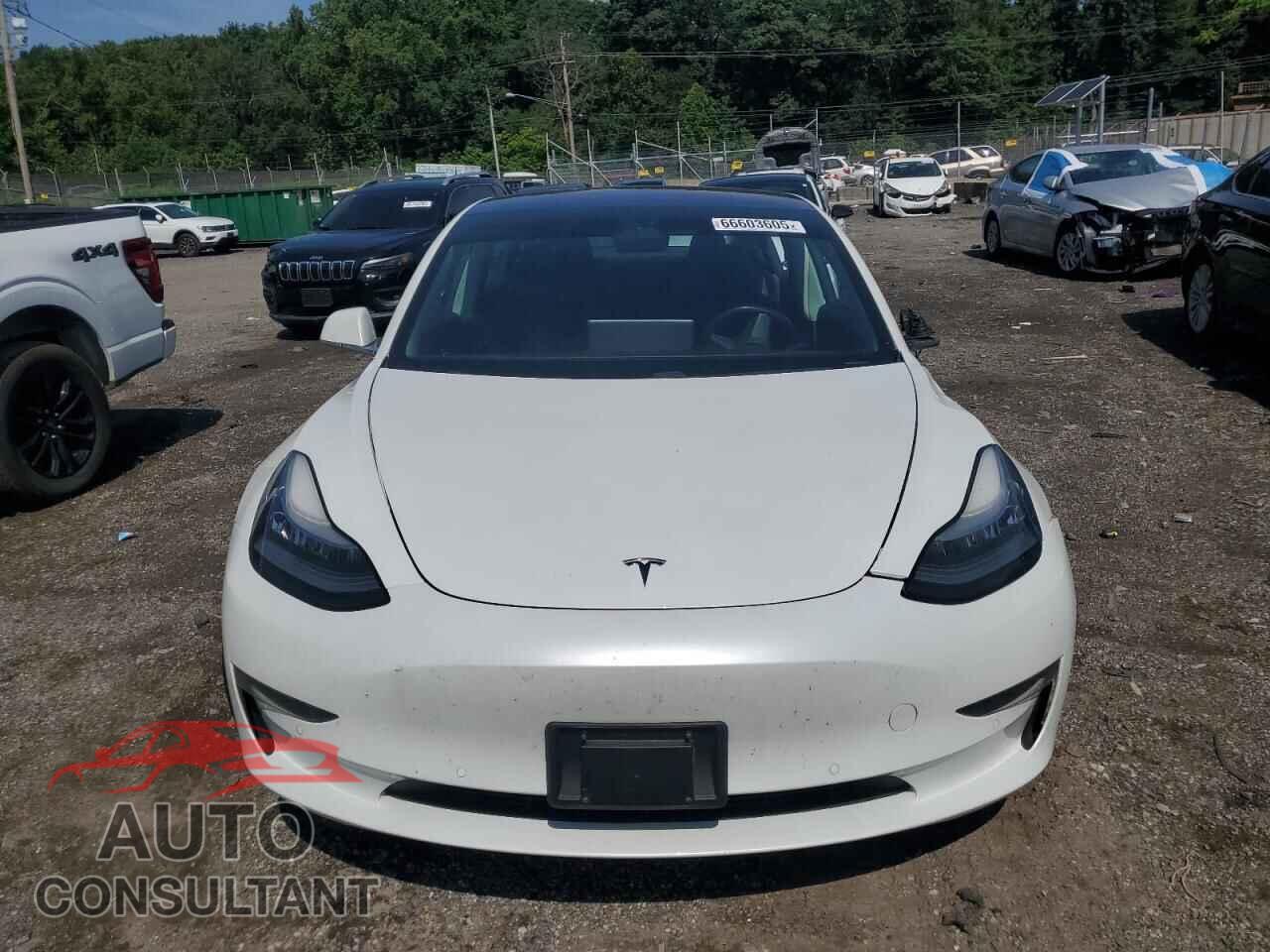 TESLA MODEL 3 2018 - 5YJ3E1EA5JF154633
