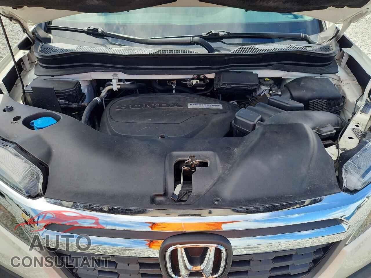 HONDA RIDGELINE 2019 - 5FPYK3F5XKB005901