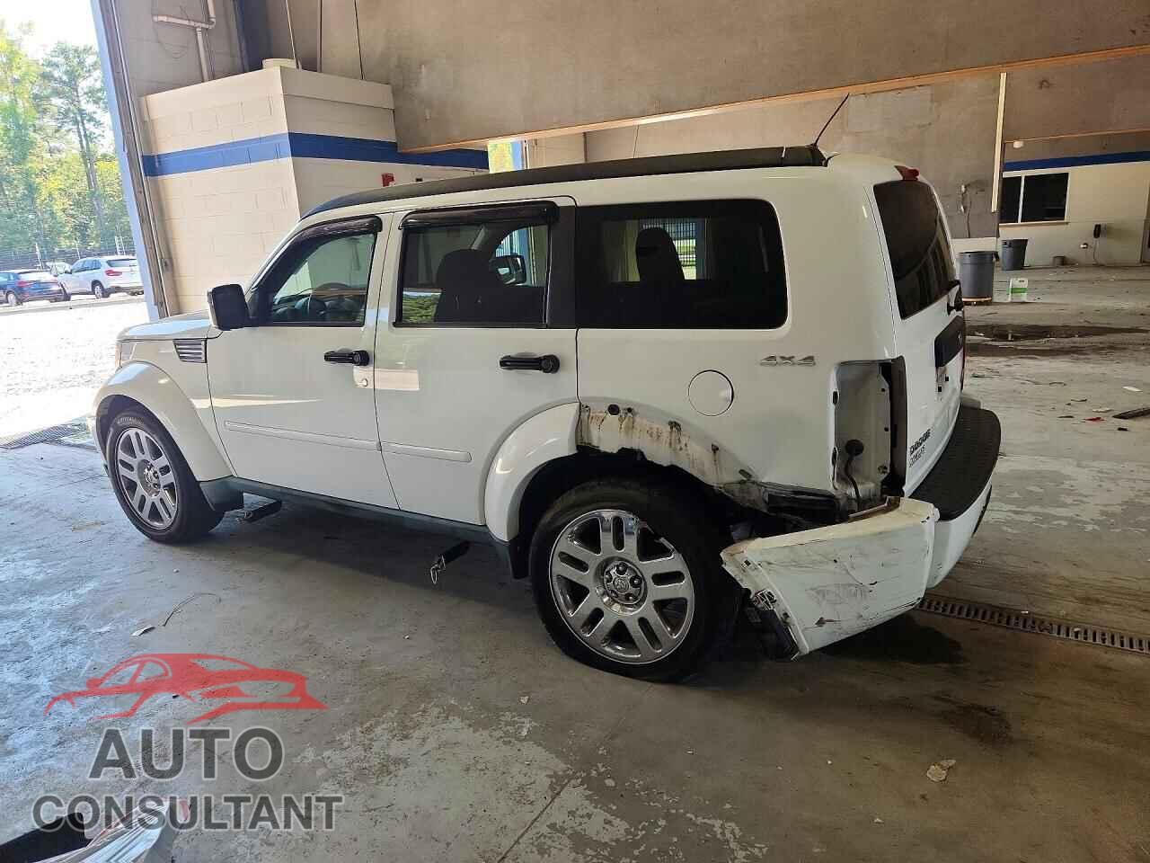DODGE NITRO 2011 - 1D4PU4GK1BW598250