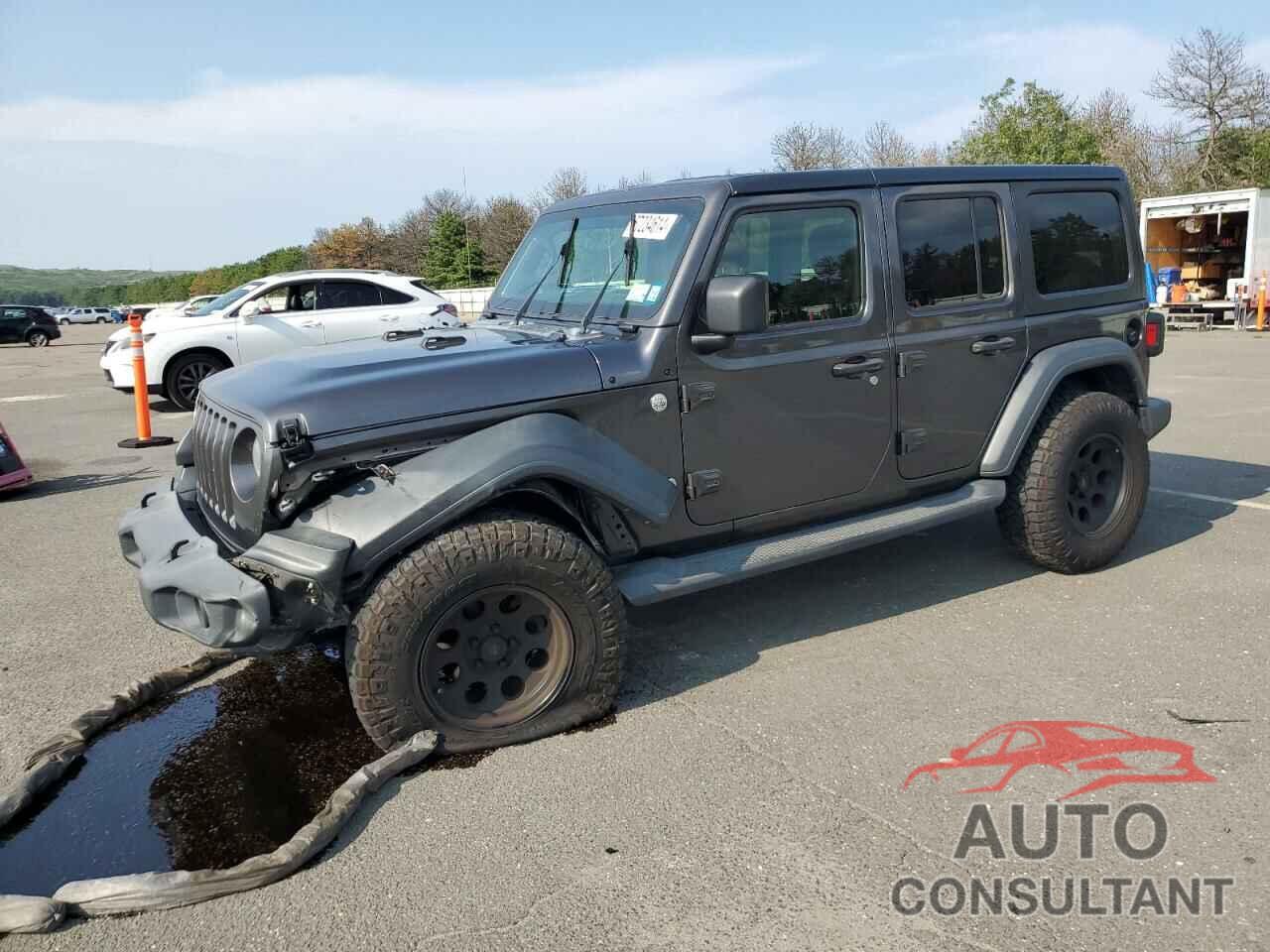 JEEP WRANGLER 2018 - 1C4HJXDN0JW198110