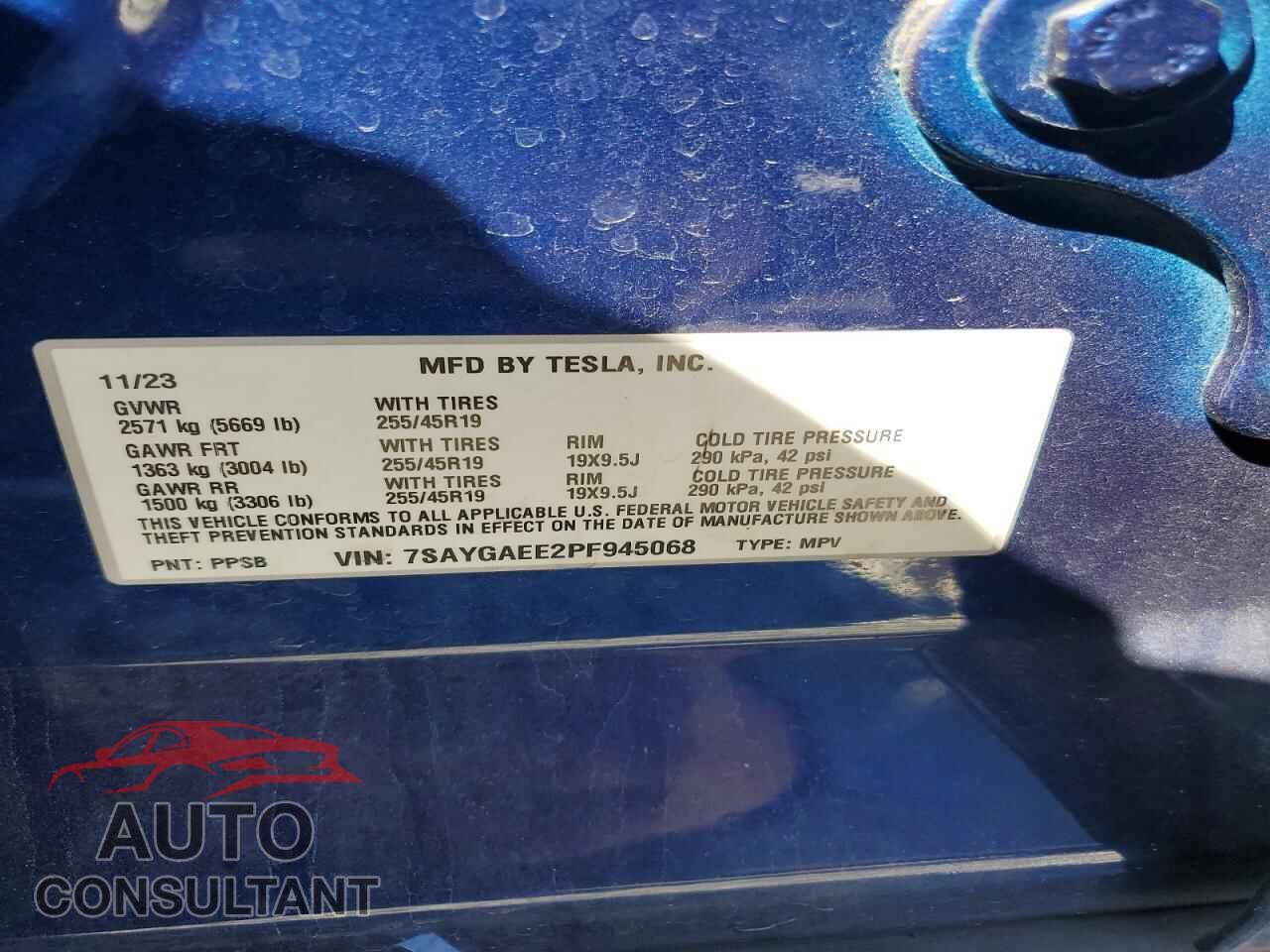 TESLA MODEL Y 2023 - 7SAYGAEE2PF945068