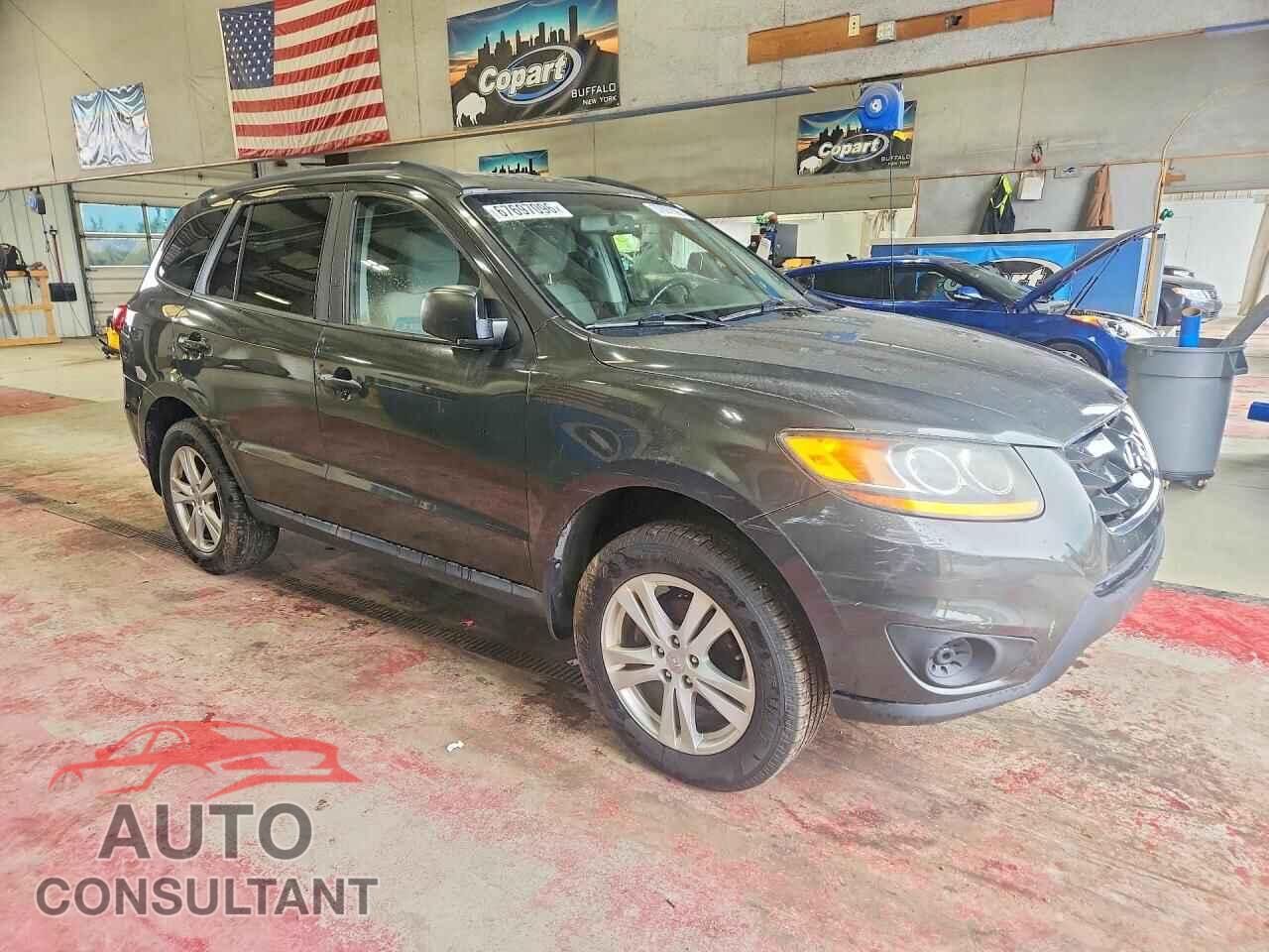 HYUNDAI SANTA FE 2010 - 5NMSGDAB9AH407991