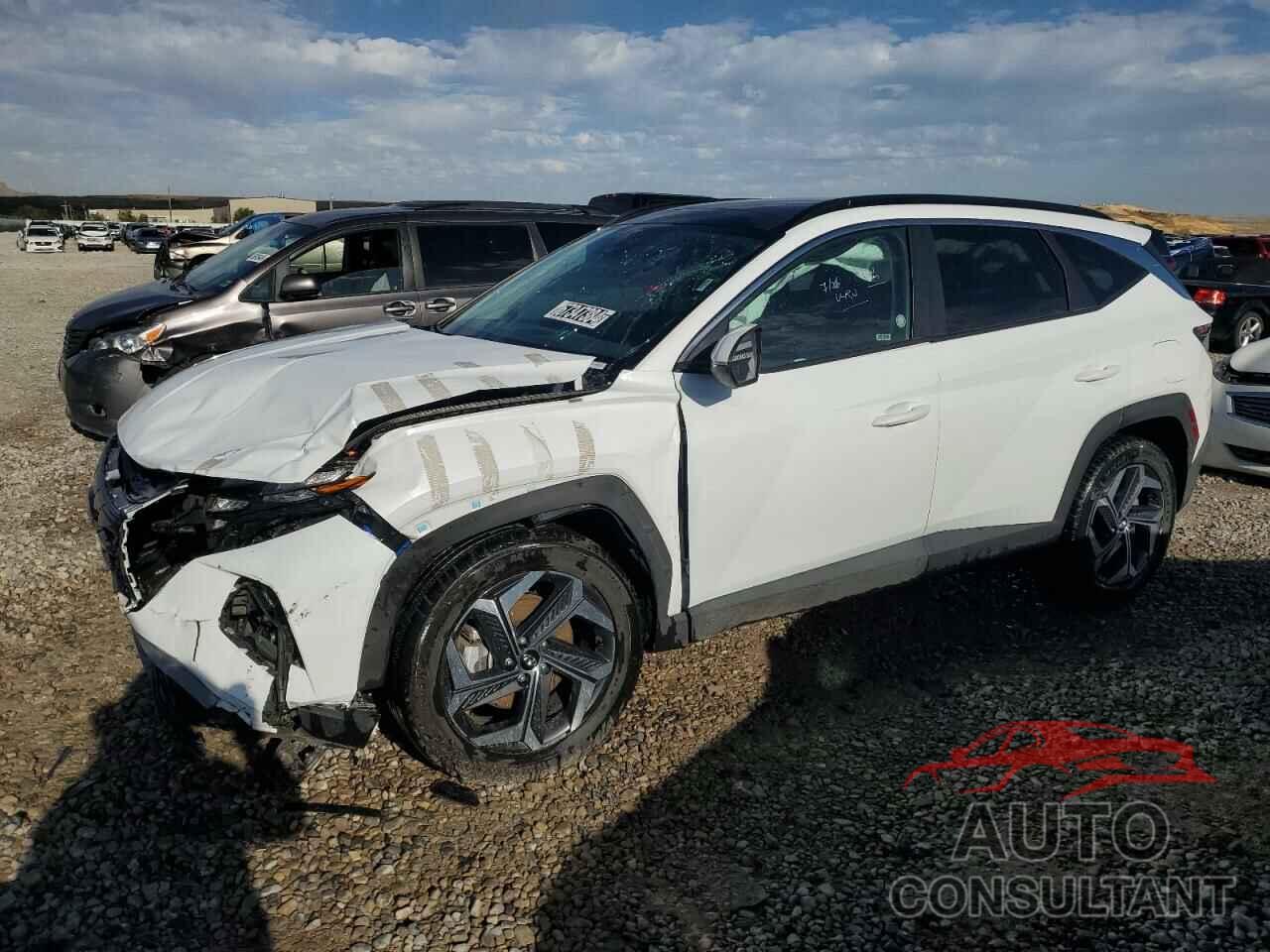 HYUNDAI TUCSON 2023 - KM8JFCA14PU135668