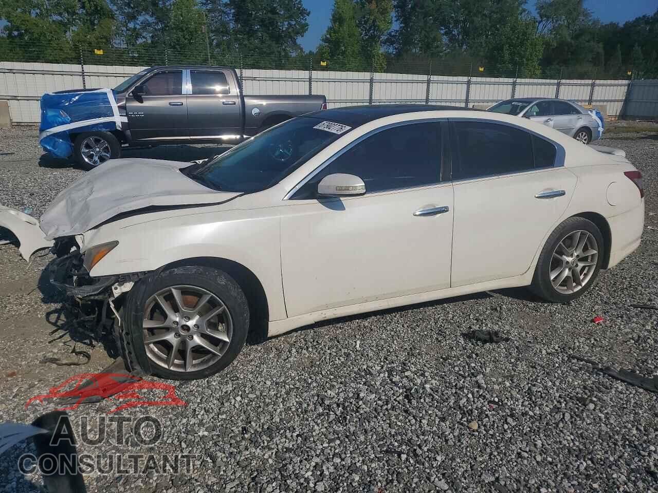 NISSAN MAXIMA 2009 - 1N4AA51E09C820735