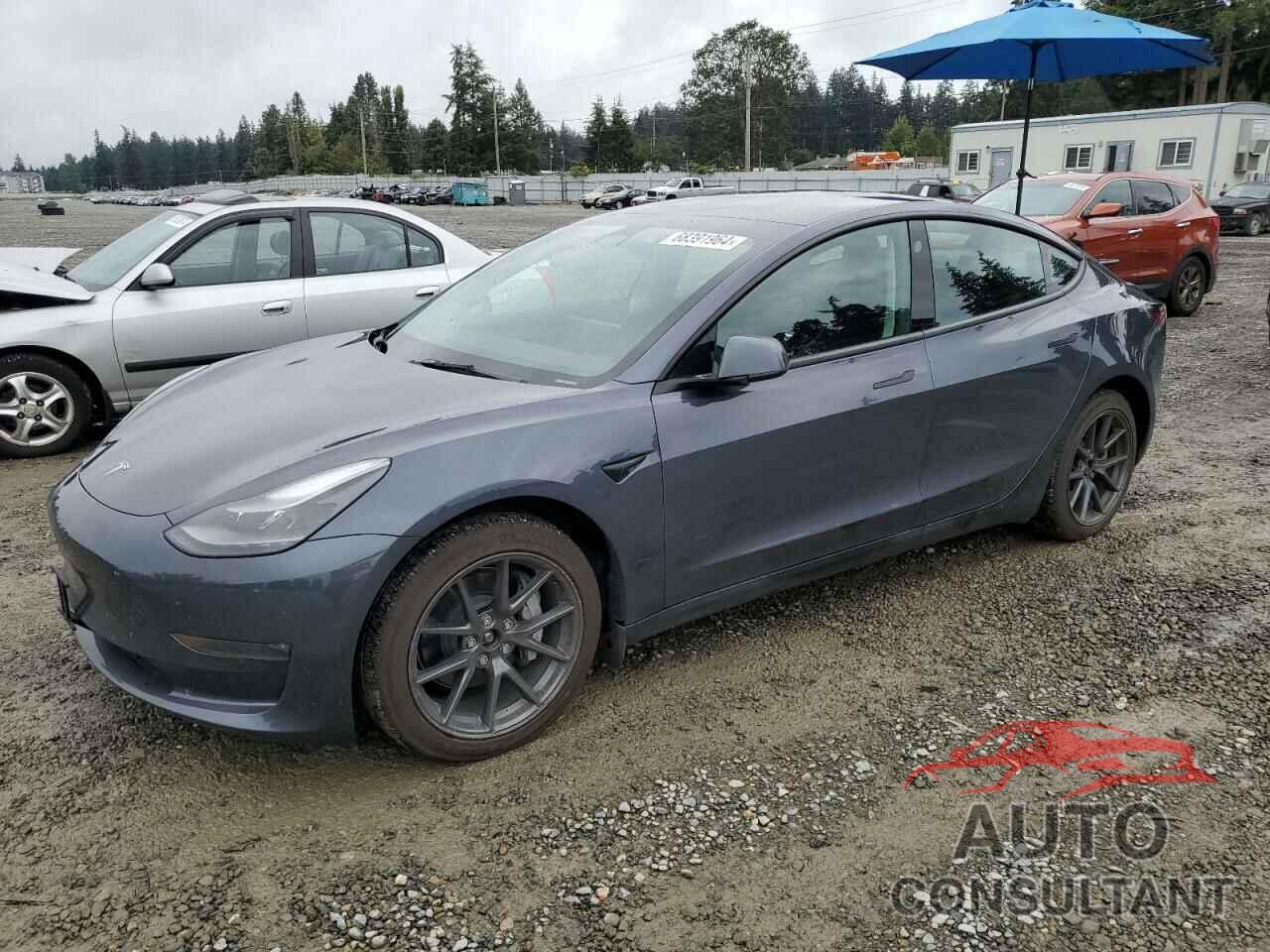 TESLA MODEL 3 2023 - 5YJ3E1EB8PF391666