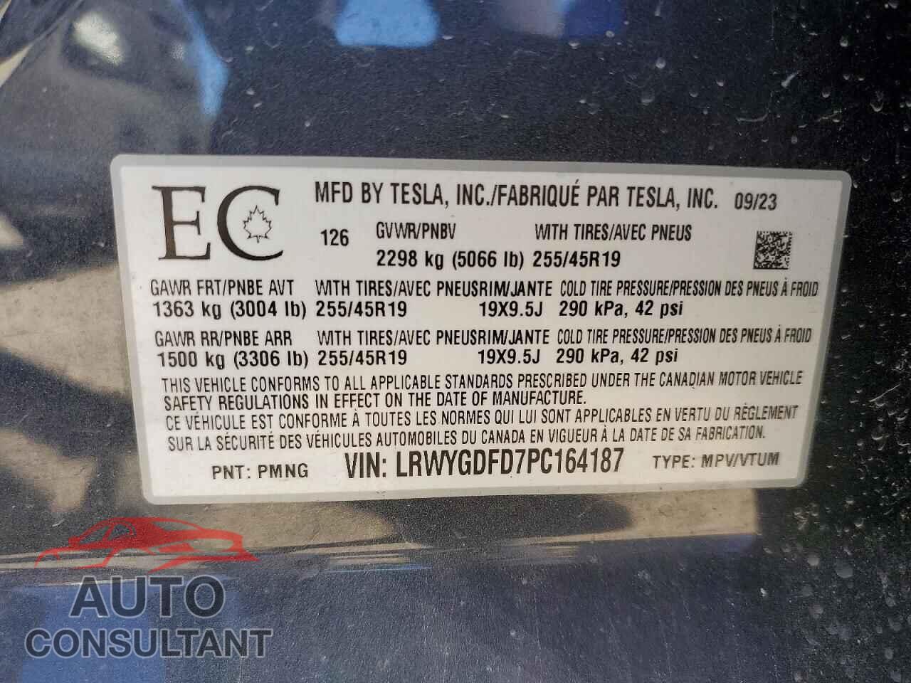 TESLA MODEL Y 2023 - LRWYGDFD7PC164187
