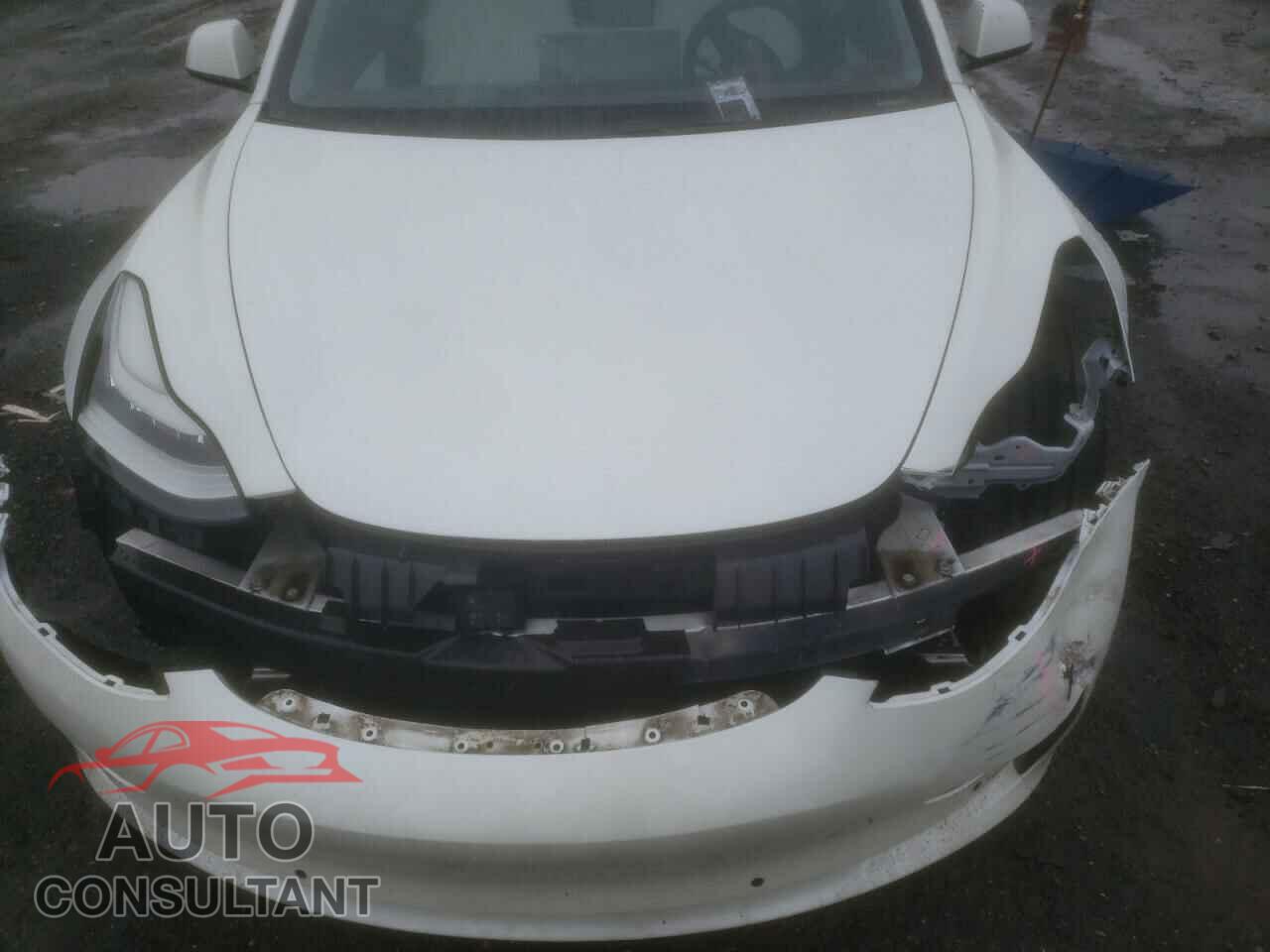 TESLA MODEL 3 2021 - 5YJ3E1EB9MF862526