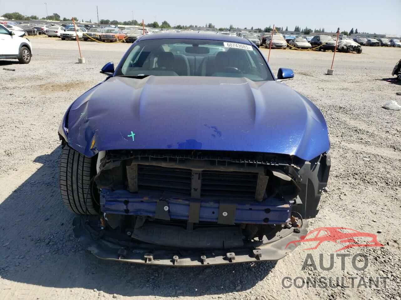 FORD ALL Models 2016 - 1FA6P8TH3G5231239
