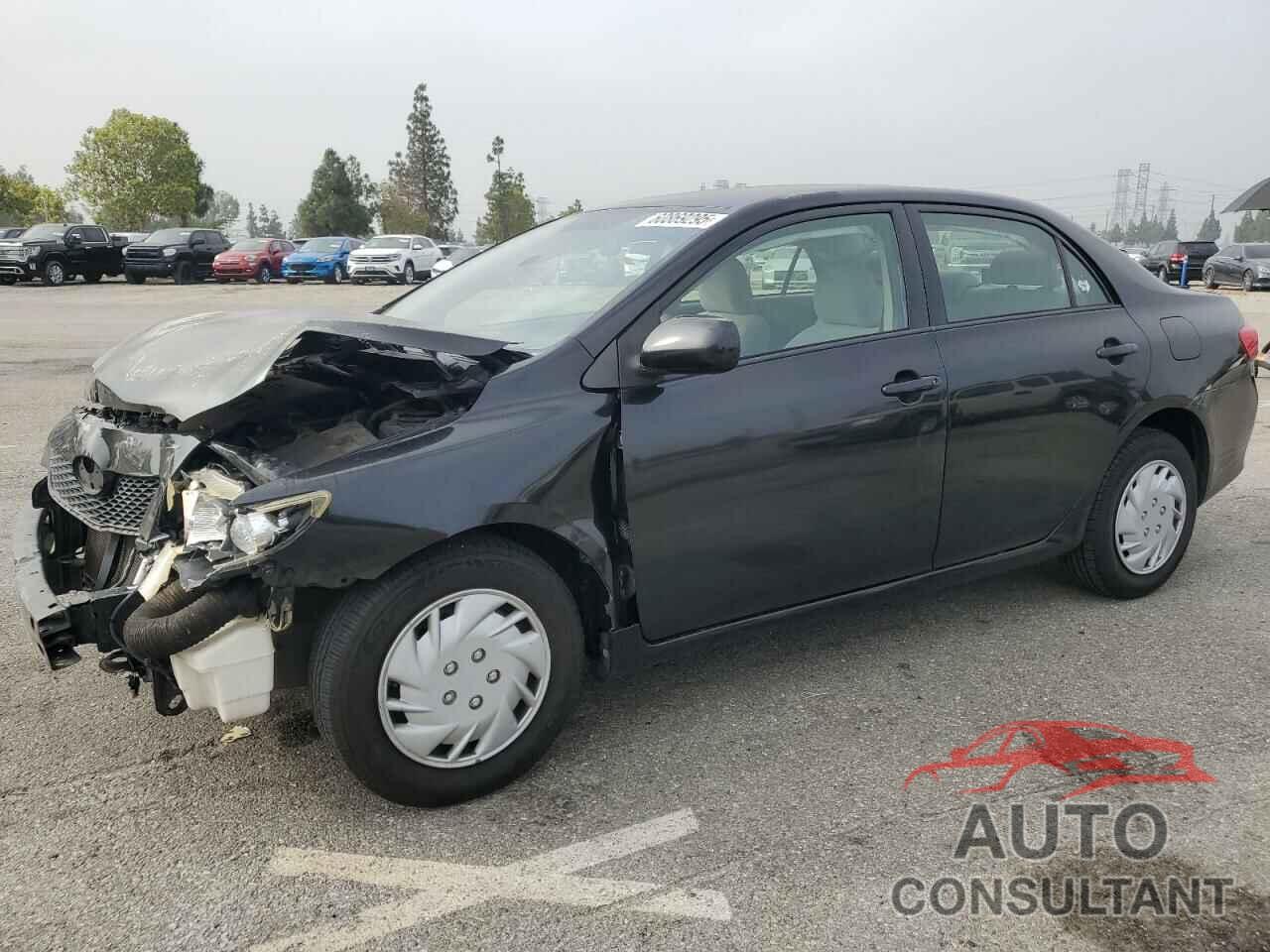 TOYOTA COROLLA 2010 - JTDBU4EE3A9123331