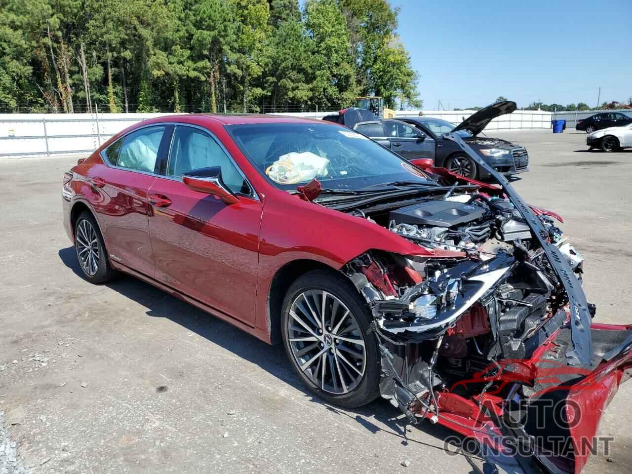 LEXUS ES300 2022 - 58ADA1C10NU020522