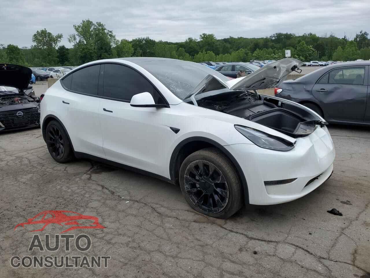 TESLA MODEL Y 2024 - 7SAYGDED1RF094232