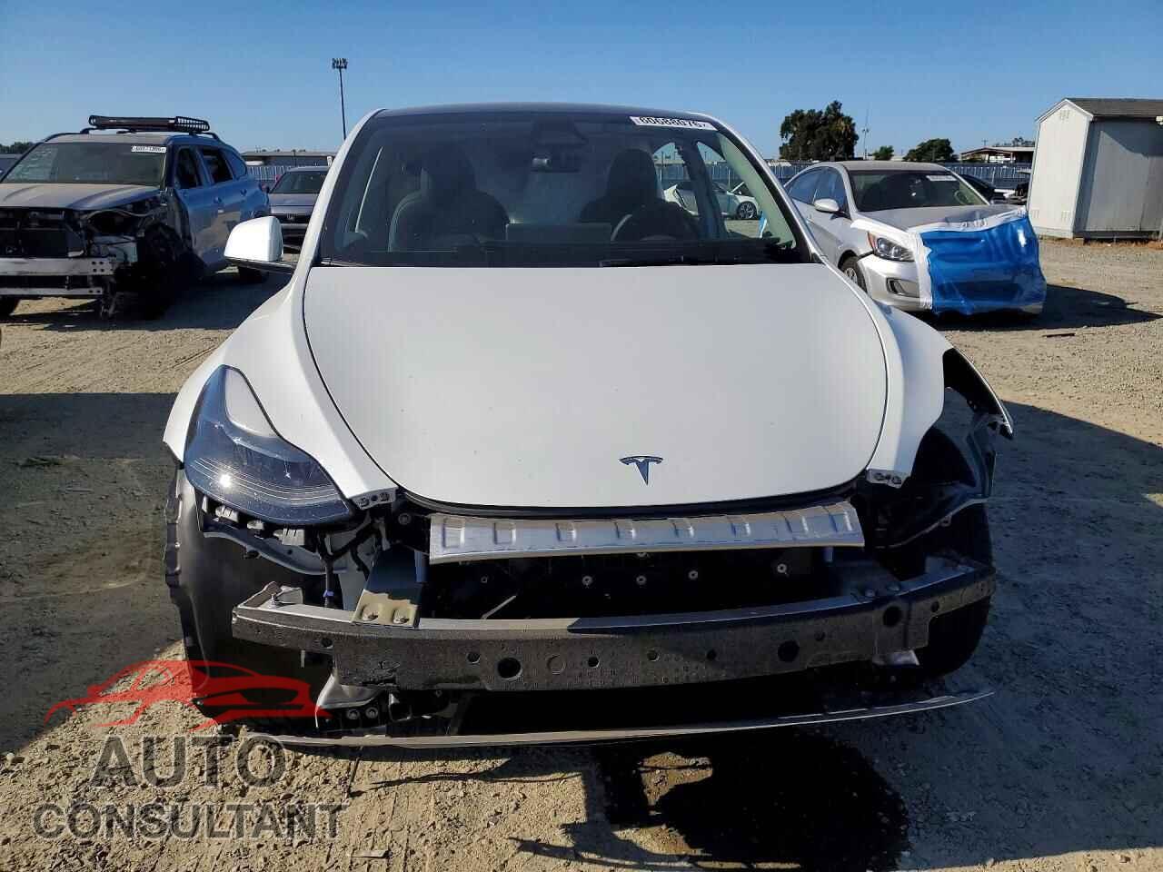 TESLA MODEL Y 2024 - 7SAYGDED0RF055177