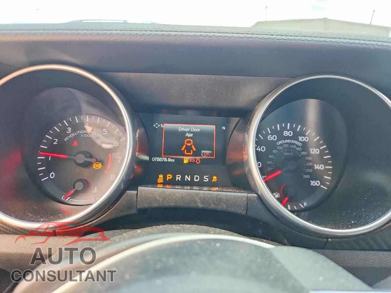 FORD MUSTANG 2019 - 1FA6P8TH0K5116929