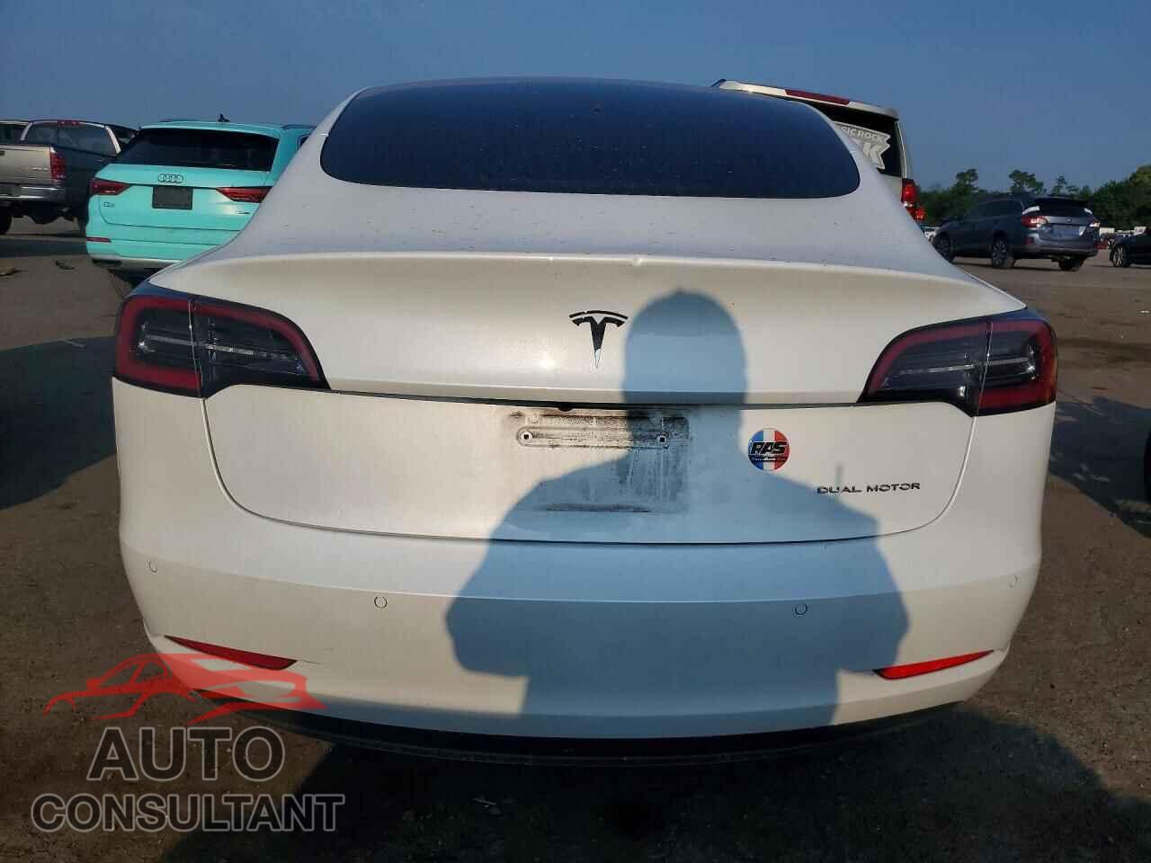 TESLA MODEL 3 2020 - 5YJ3E1EB5LF795891