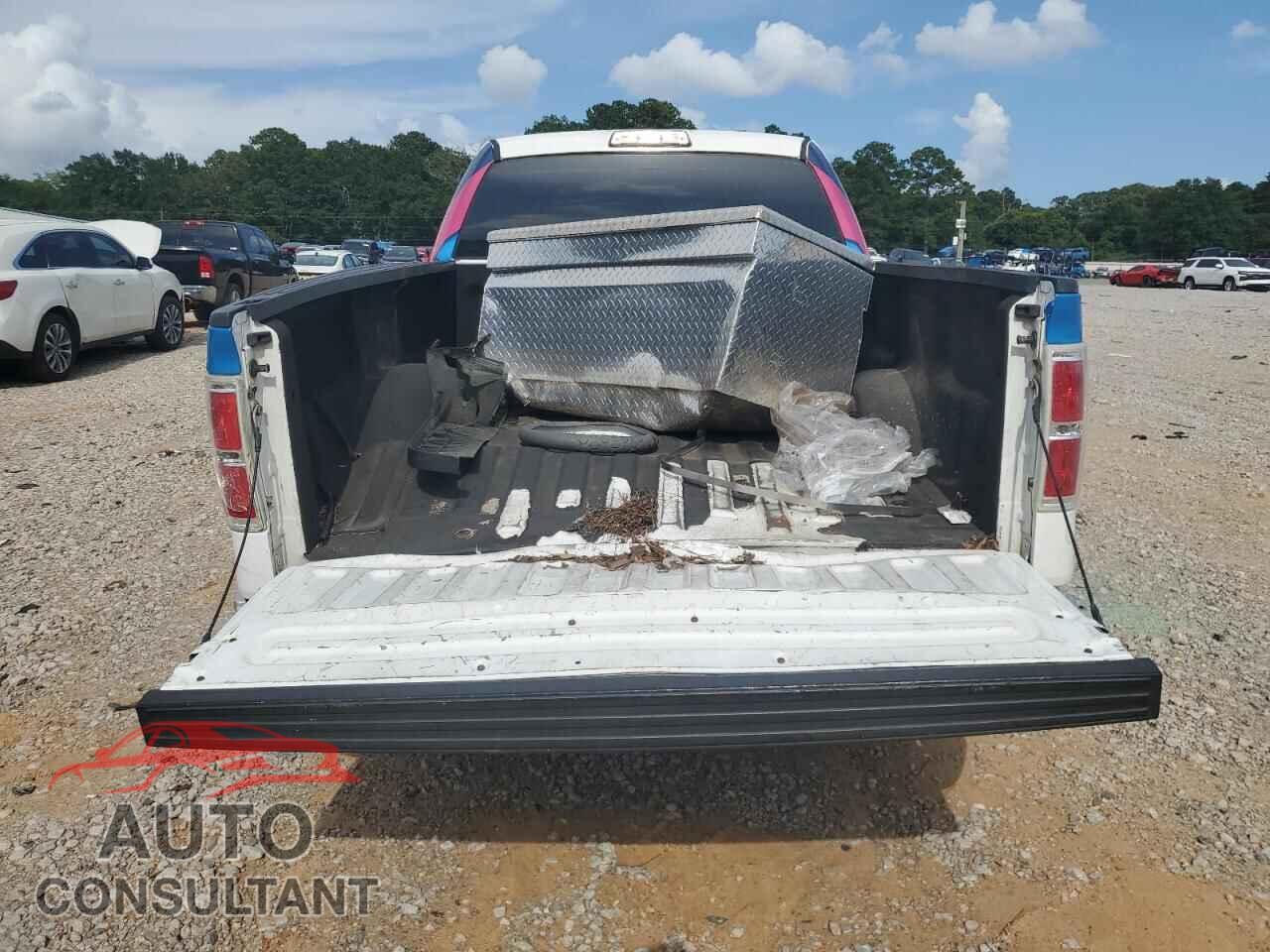 FORD F-150 2011 - 1FTFX1CF8BFC06744