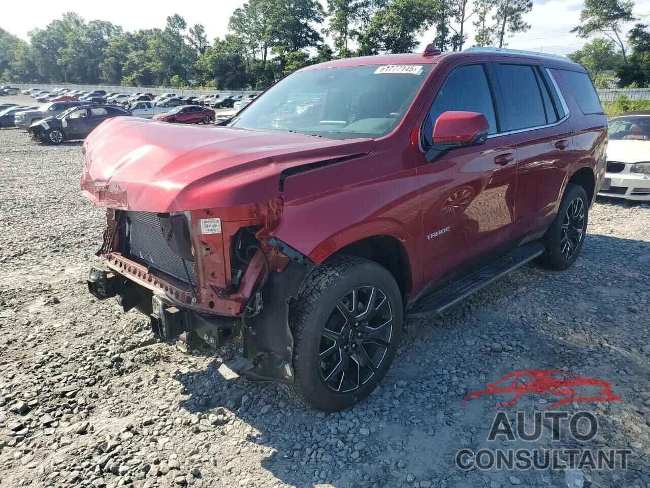 CHEVROLET TAHOE 2024 - 1GNSCNKD5RR339656