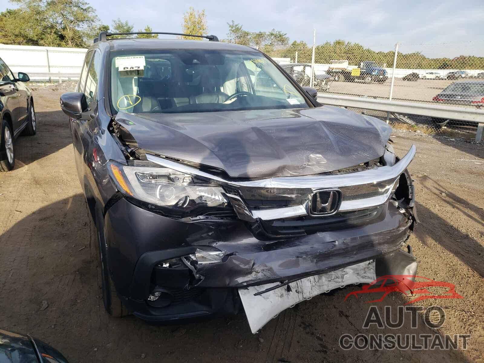 HONDA PILOT 2019 - 5FNYF6H46KB087404
