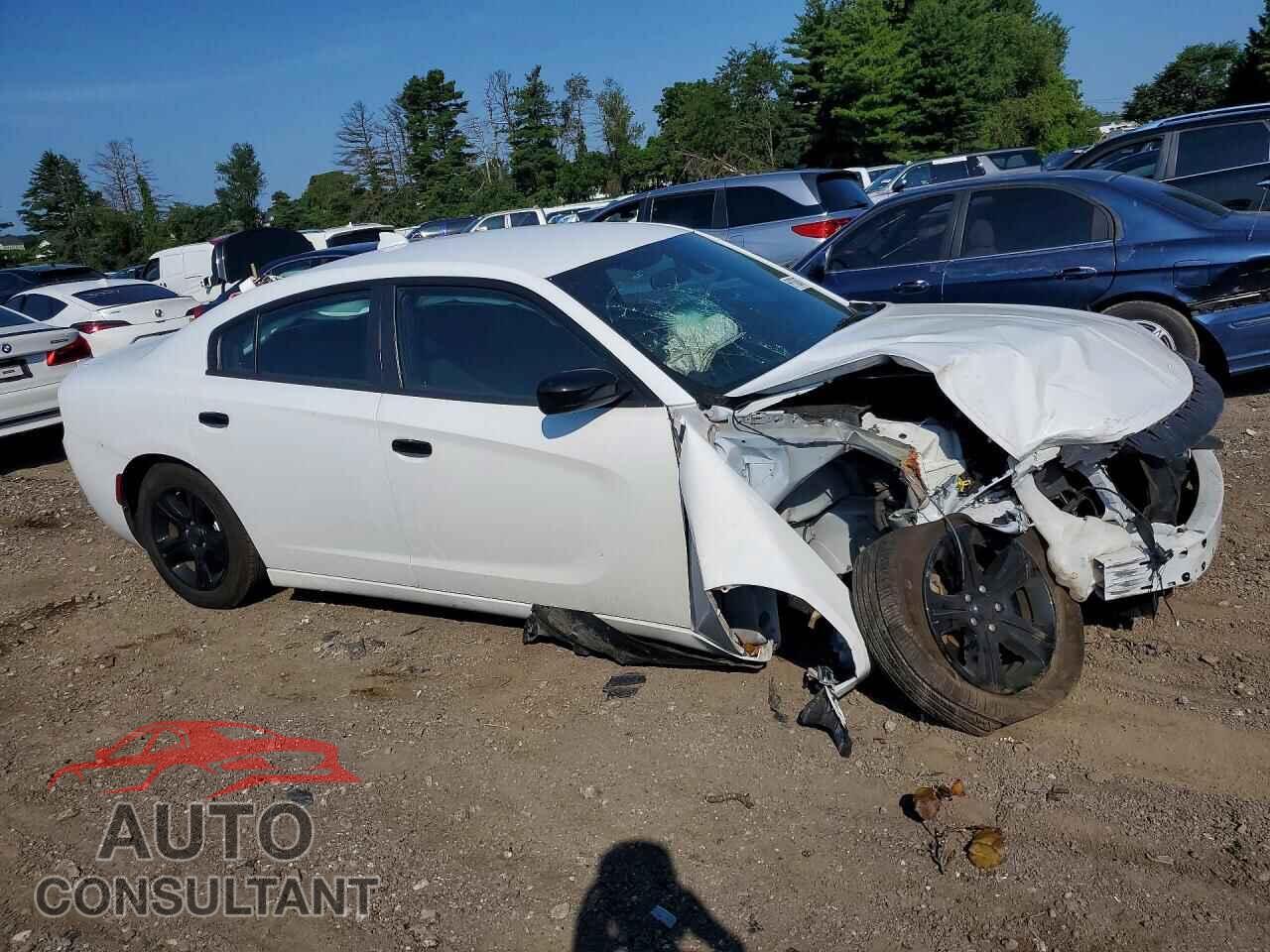 DODGE CHARGER 2023 - 2C3CDXBG0PH564097