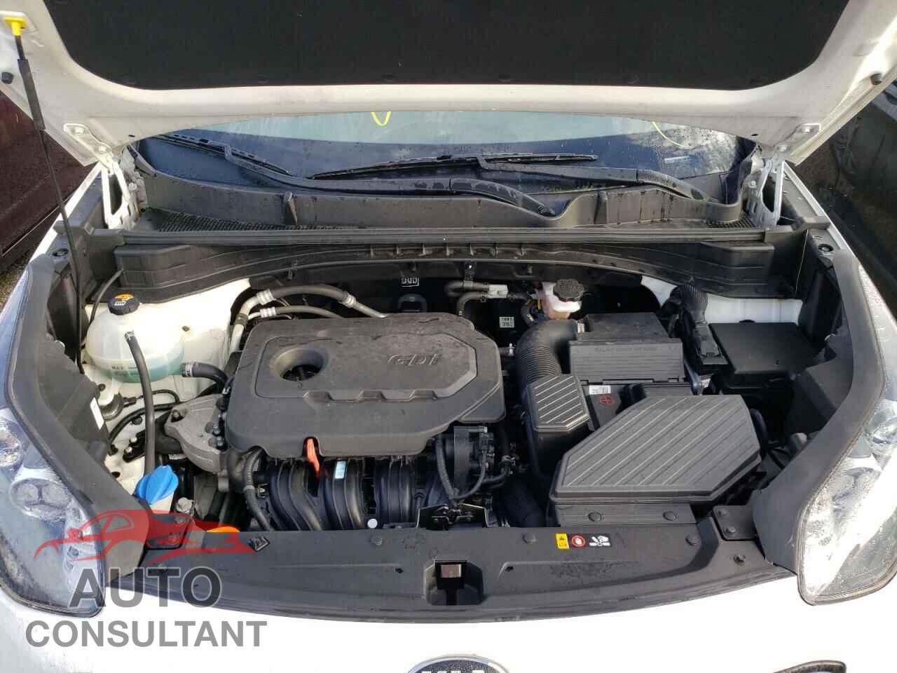 KIA SPORTAGE 2019 - KNDPM3AC9K7563295