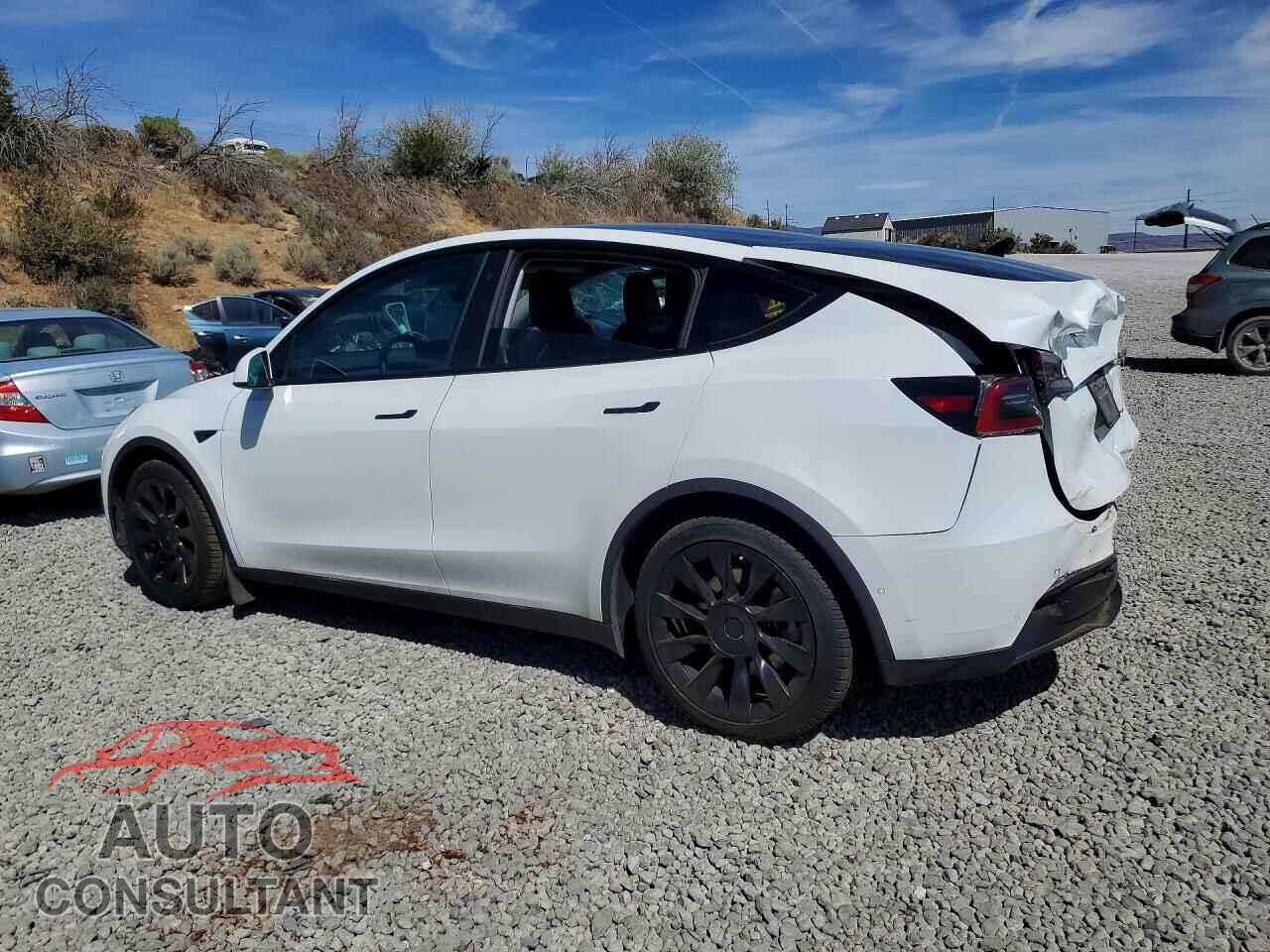 TESLA MODEL Y 2021 - 5YJYGDEE3MF200503