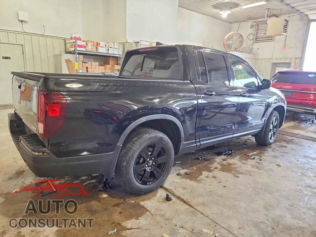 HONDA RIDGELINE 2019 - 5FPYK3F80KB022264