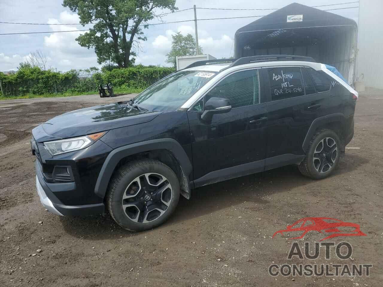 TOYOTA RAV4 2019 - 2T3J1RFV2KC033672