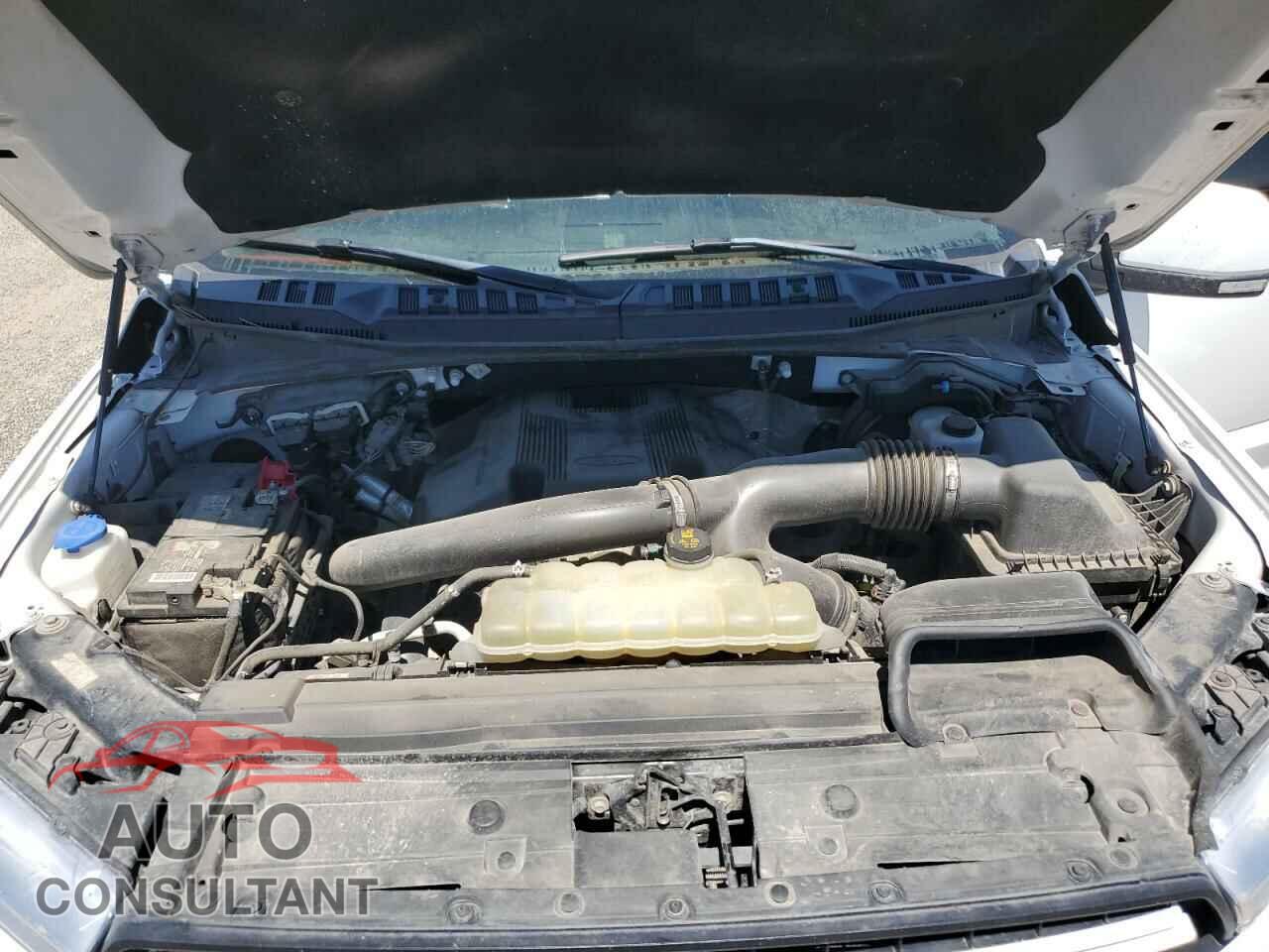 FORD F-150 2019 - 1FTEW1E48KFC36577
