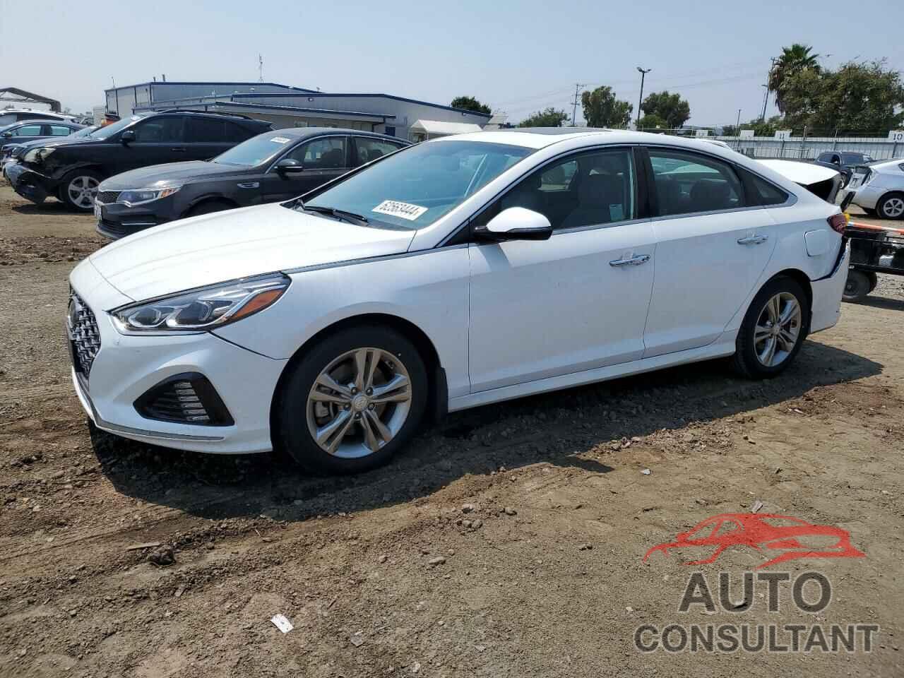 HYUNDAI SONATA 2019 - 5NPE34AF9KH814919