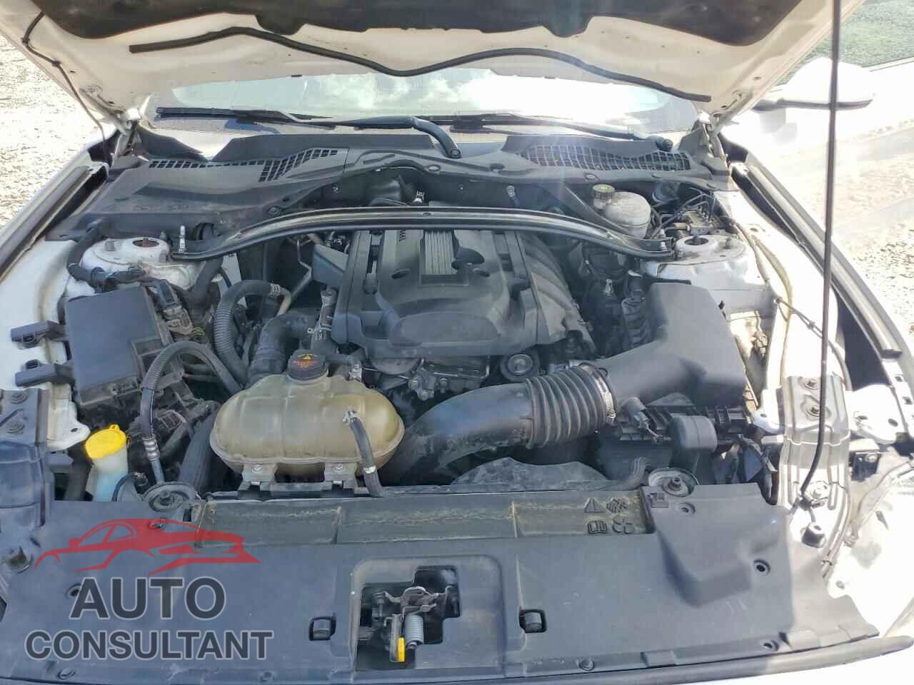 FORD MUSTANG 2018 - 1FA6P8THXJ5175646