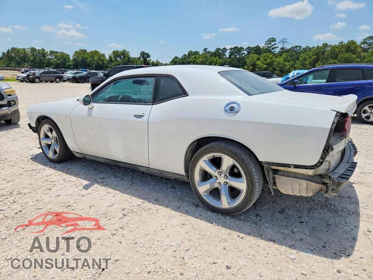 DODGE CHALLENGER 2013 - 2C3CDYAG9DH595495