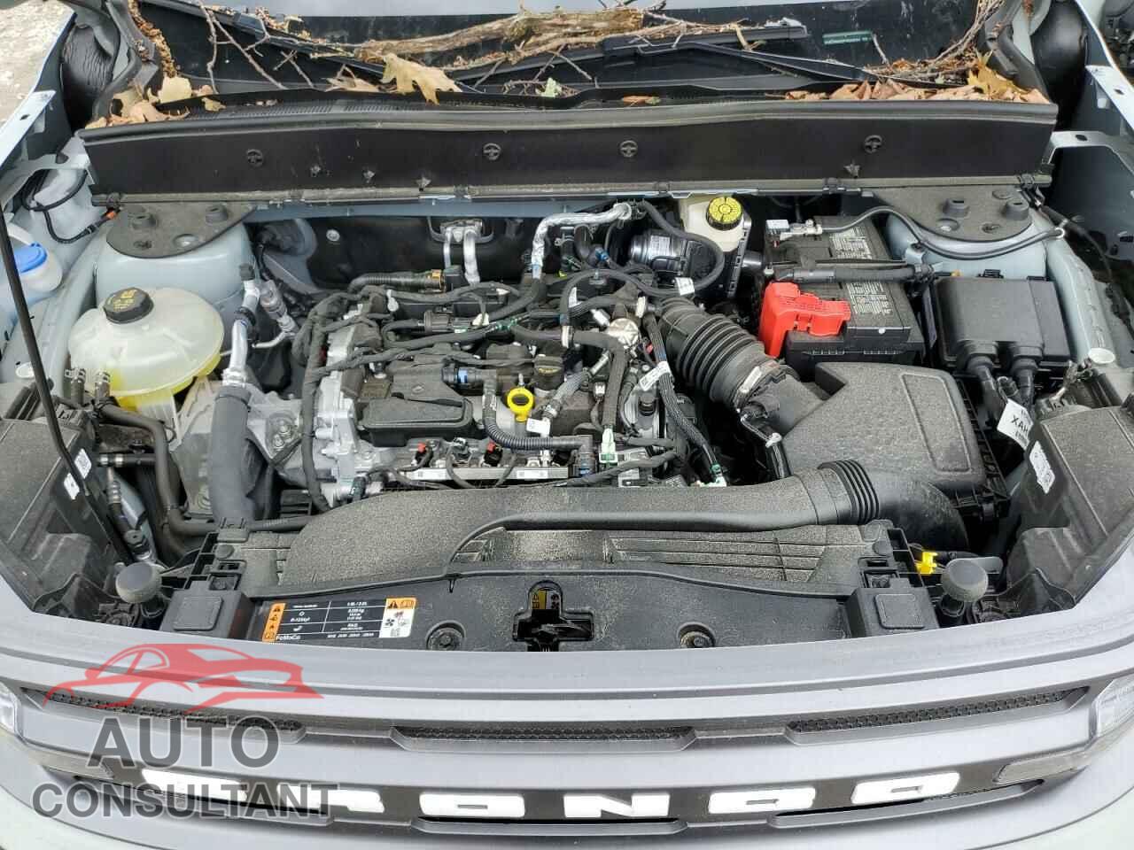 FORD BRONCO 2023 - 3FMCR9B62PRD68324