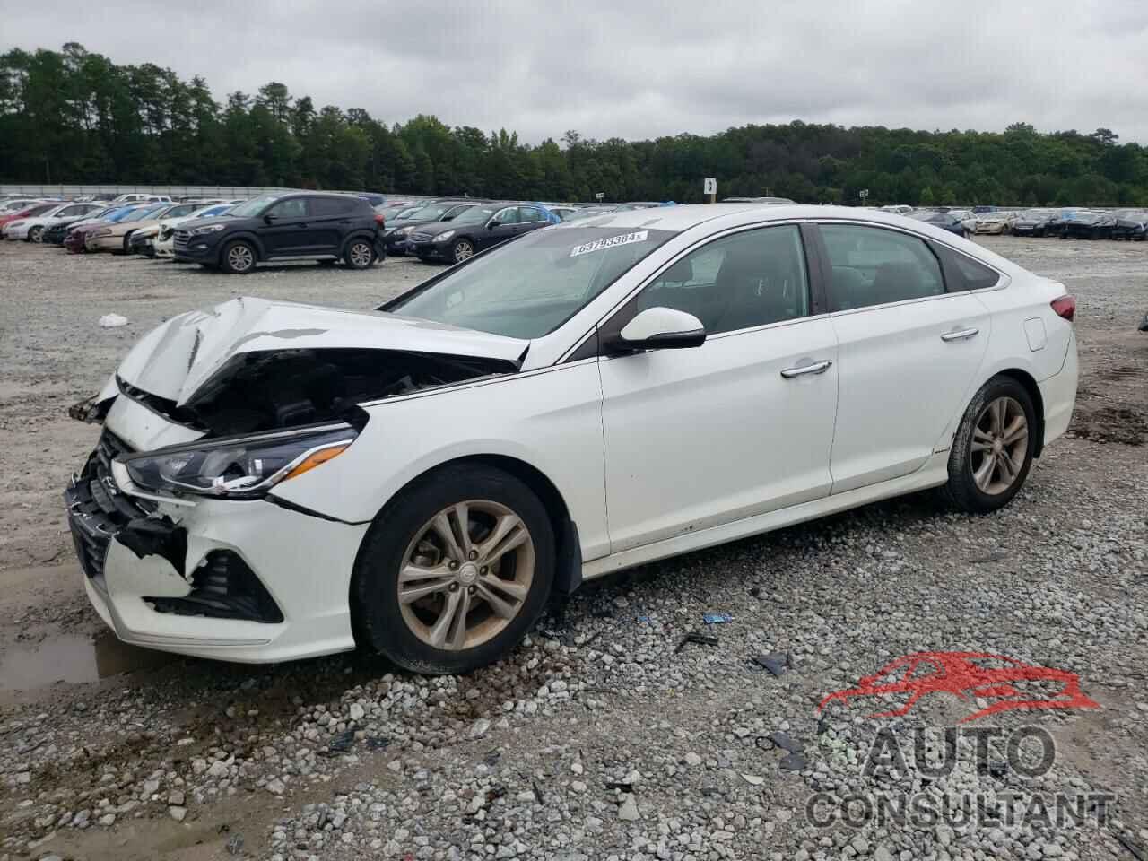 HYUNDAI SONATA 2018 - 5NPE34AF4JH622628