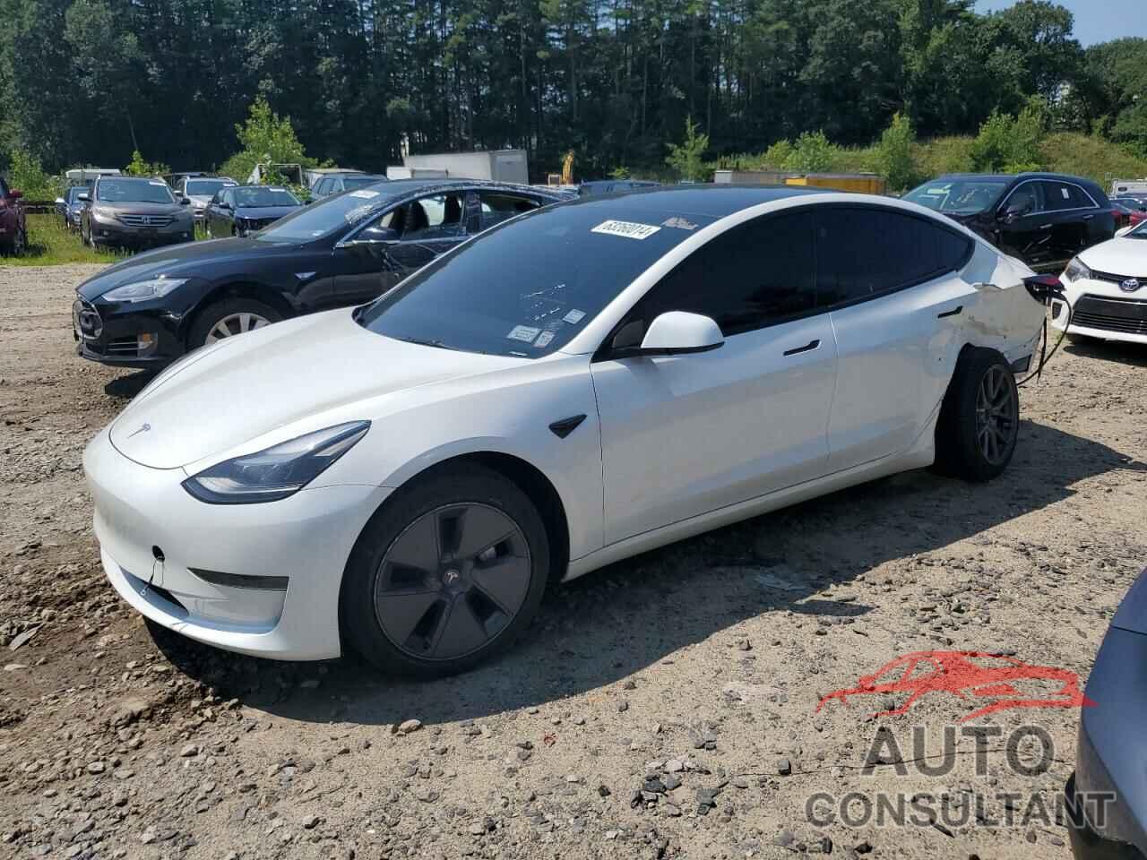 TESLA MODEL 3 2023 - 5YJ3E1EA6PF566777