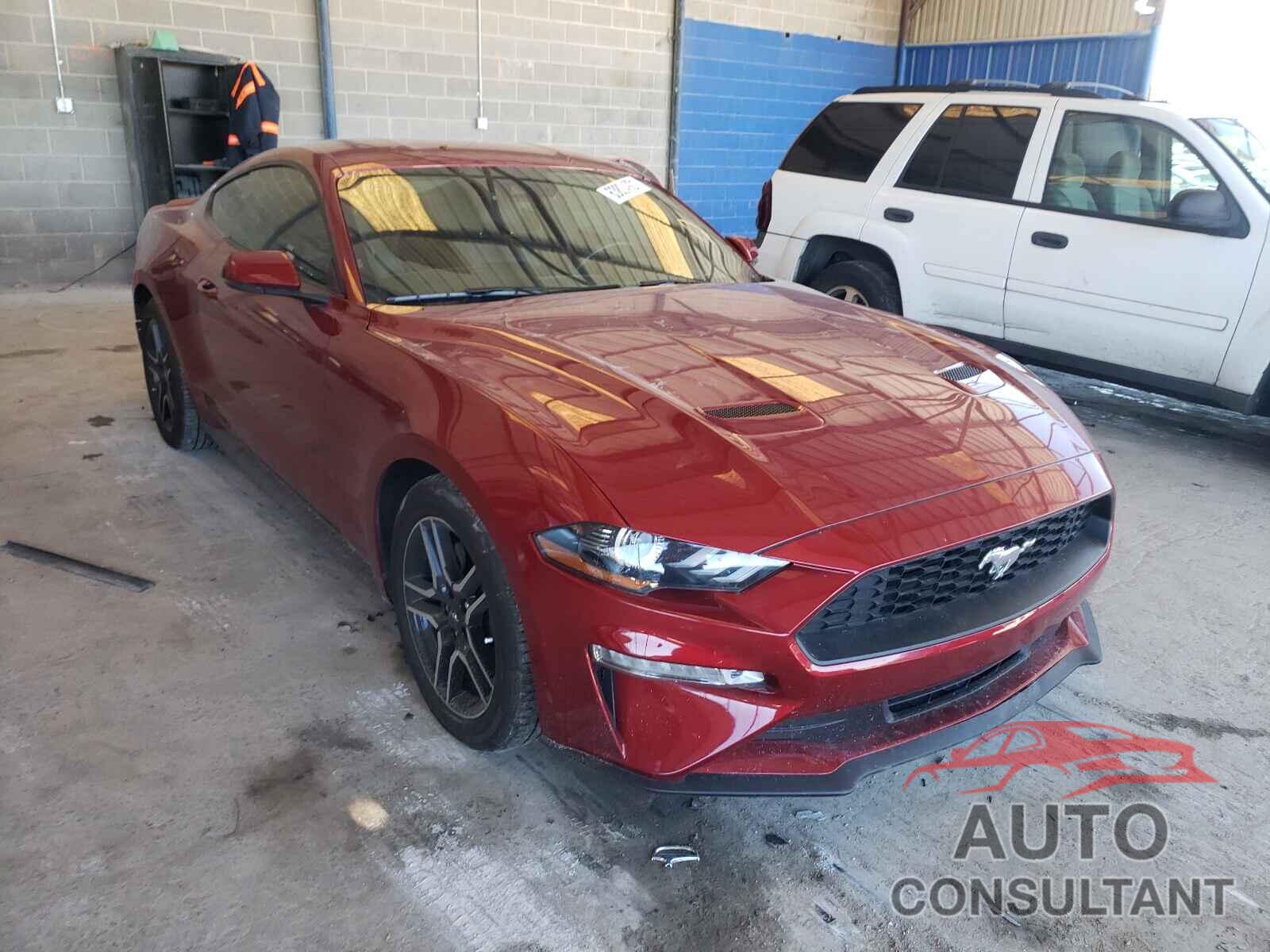 FORD MUSTANG 2019 - 1FA6P8TH4K5191102