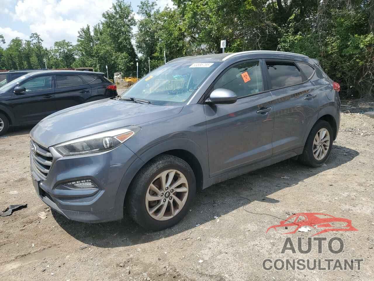 HYUNDAI TUCSON 2016 - KM8J33A43GU100641
