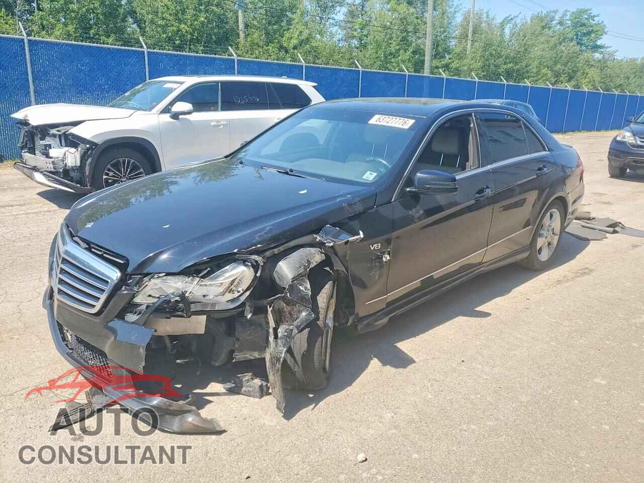 MERCEDES-BENZ E-CLASS 2010 - WDDHF8HB8AA138764