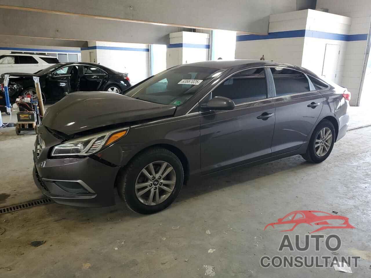 HYUNDAI SONATA 2016 - 5NPE24AF2GH296999