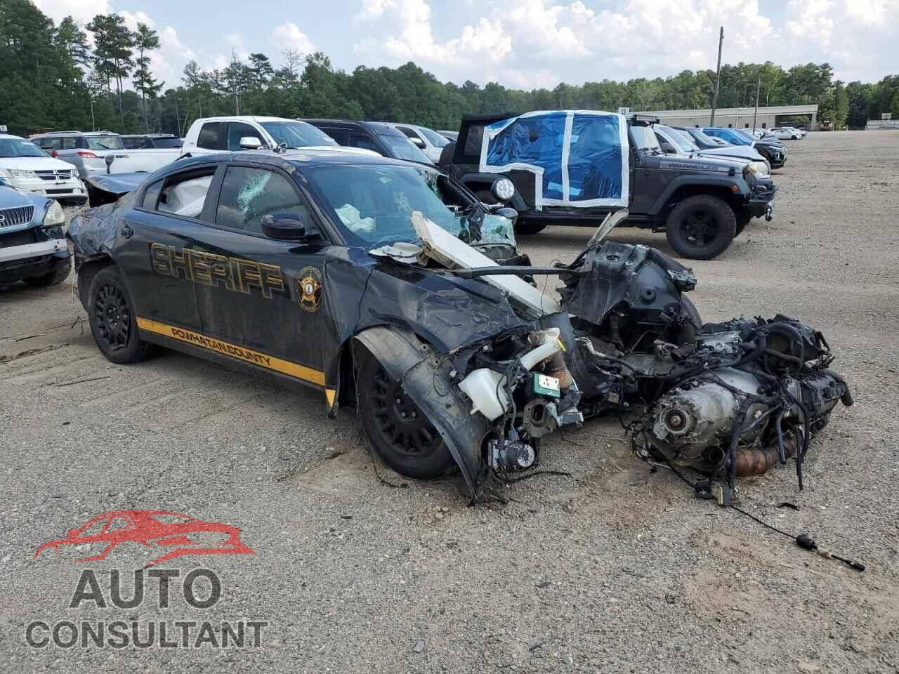 DODGE CHARGER 2019 - 2C3CDXKTXKH736271