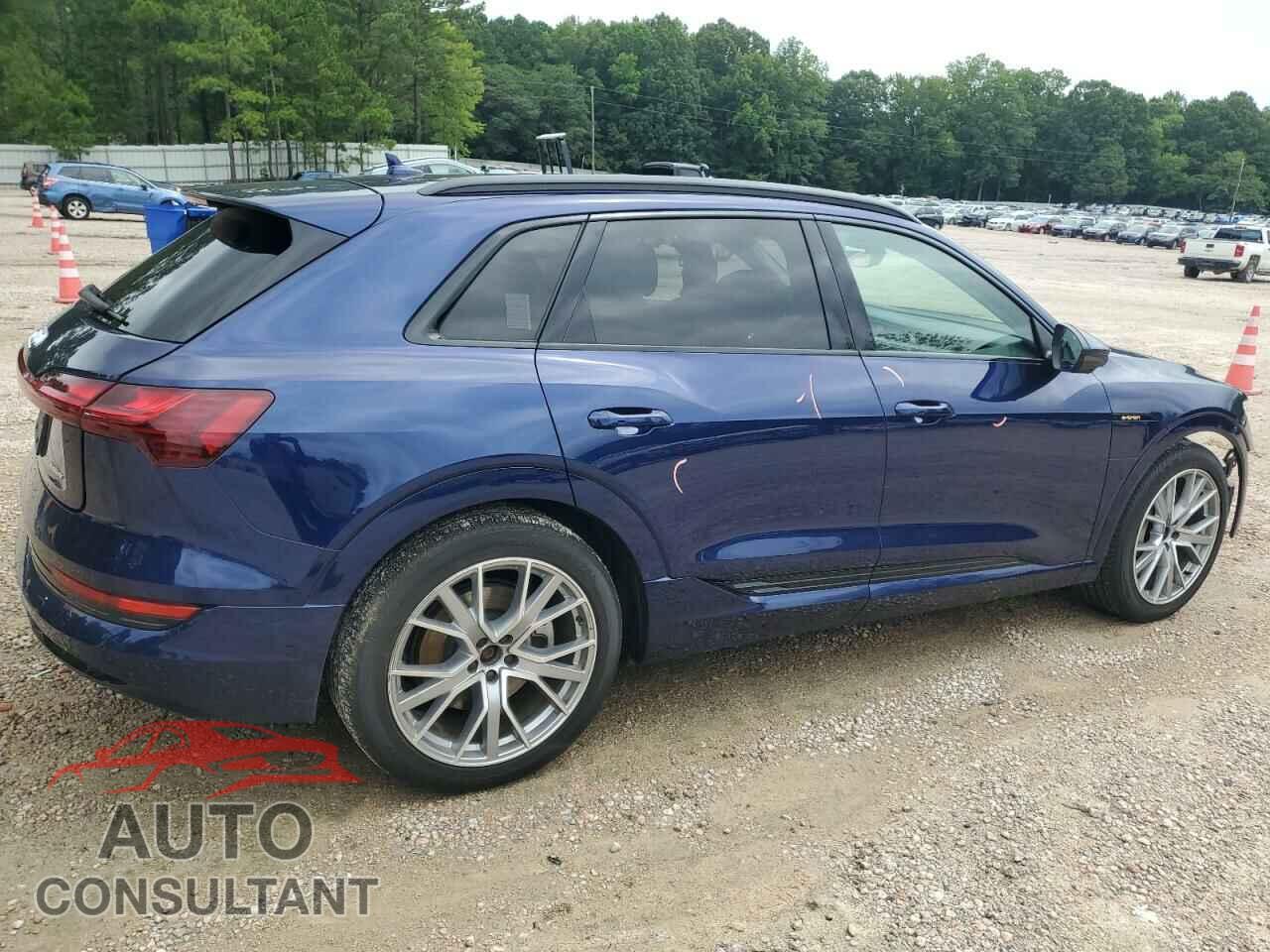 AUDI E-TRON 2021 - WA1VAAGE6MB016508