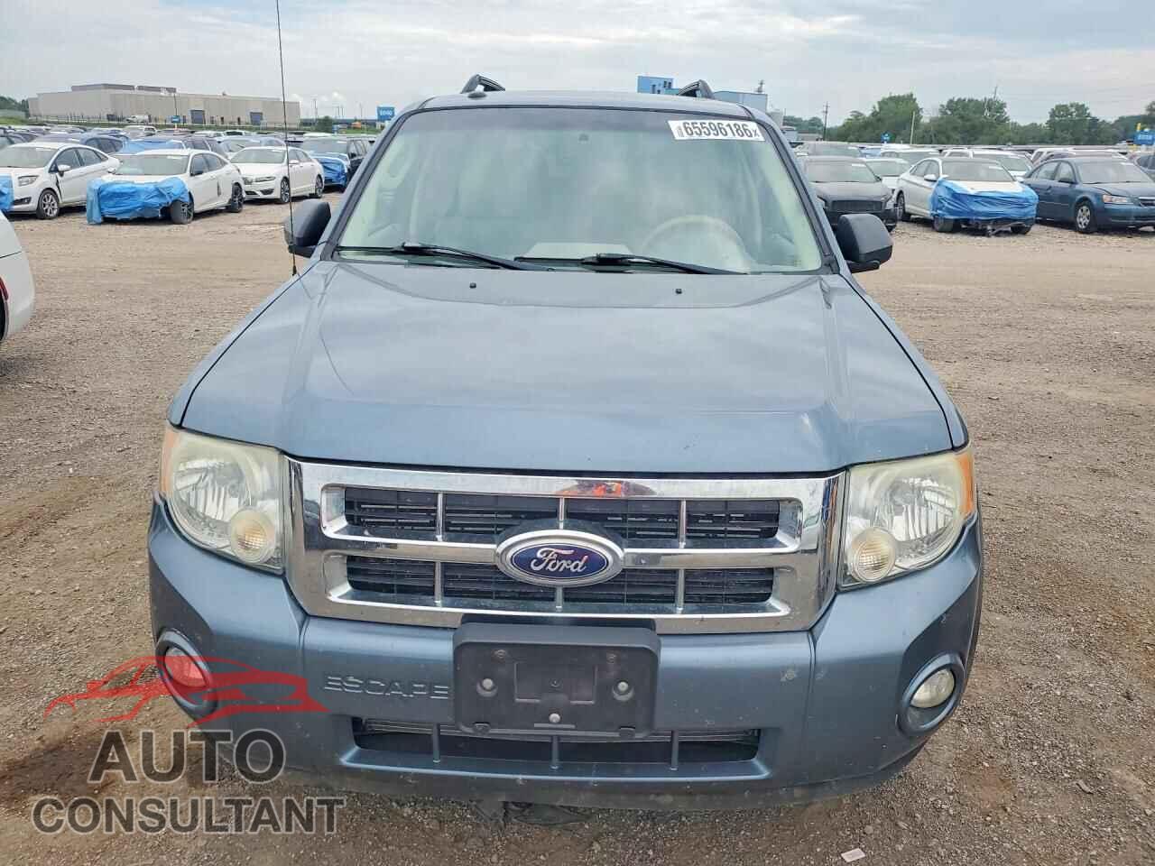FORD ESCAPE 2010 - 1FMCU9D76AKB66585