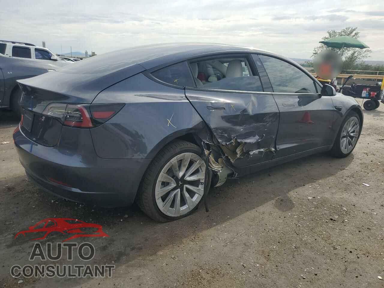 TESLA MODEL 3 2021 - 5YJ3E1EA7MF085044