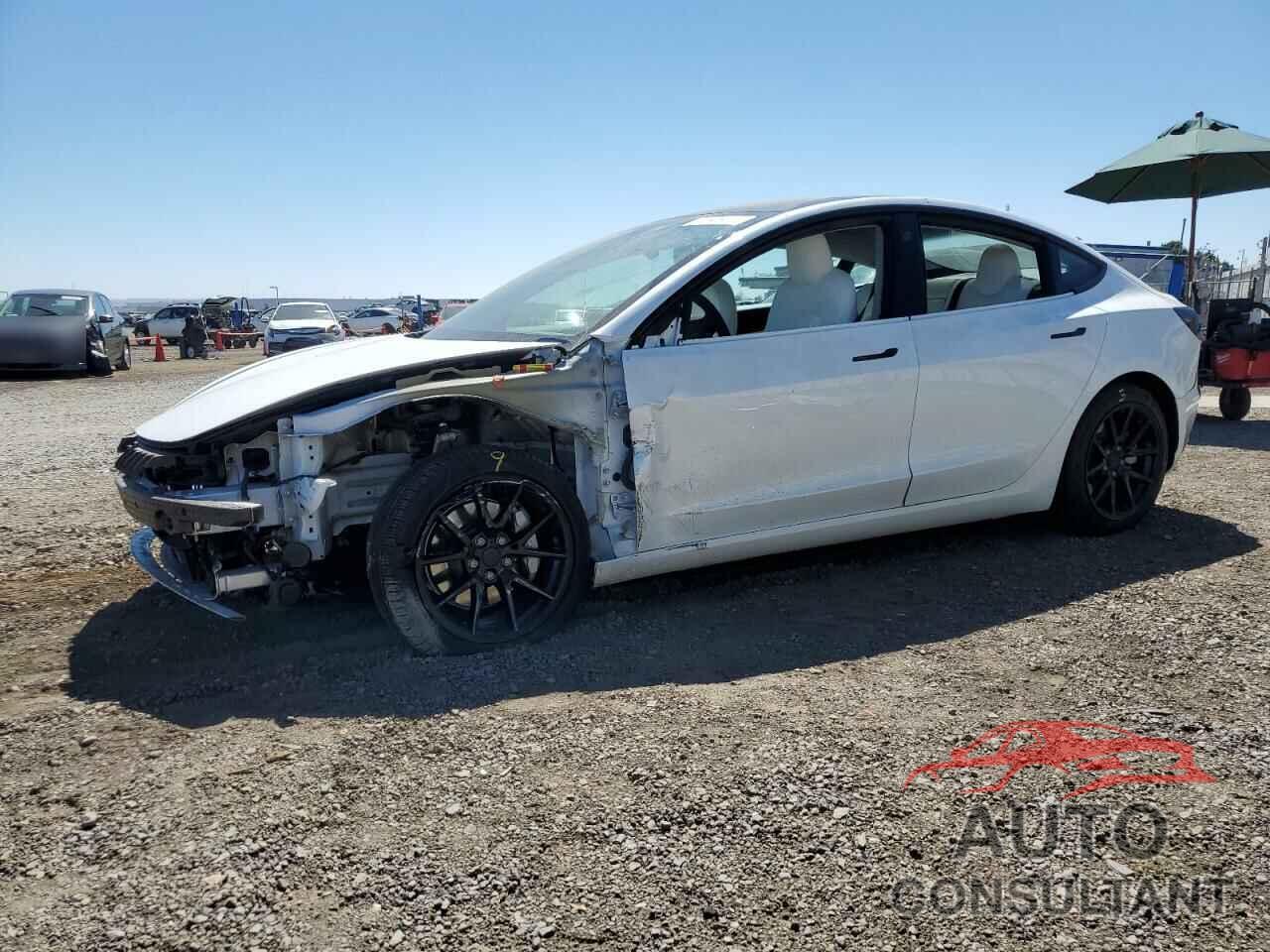 TESLA MODEL 3 2021 - 5YJ3E1EA3MF877904