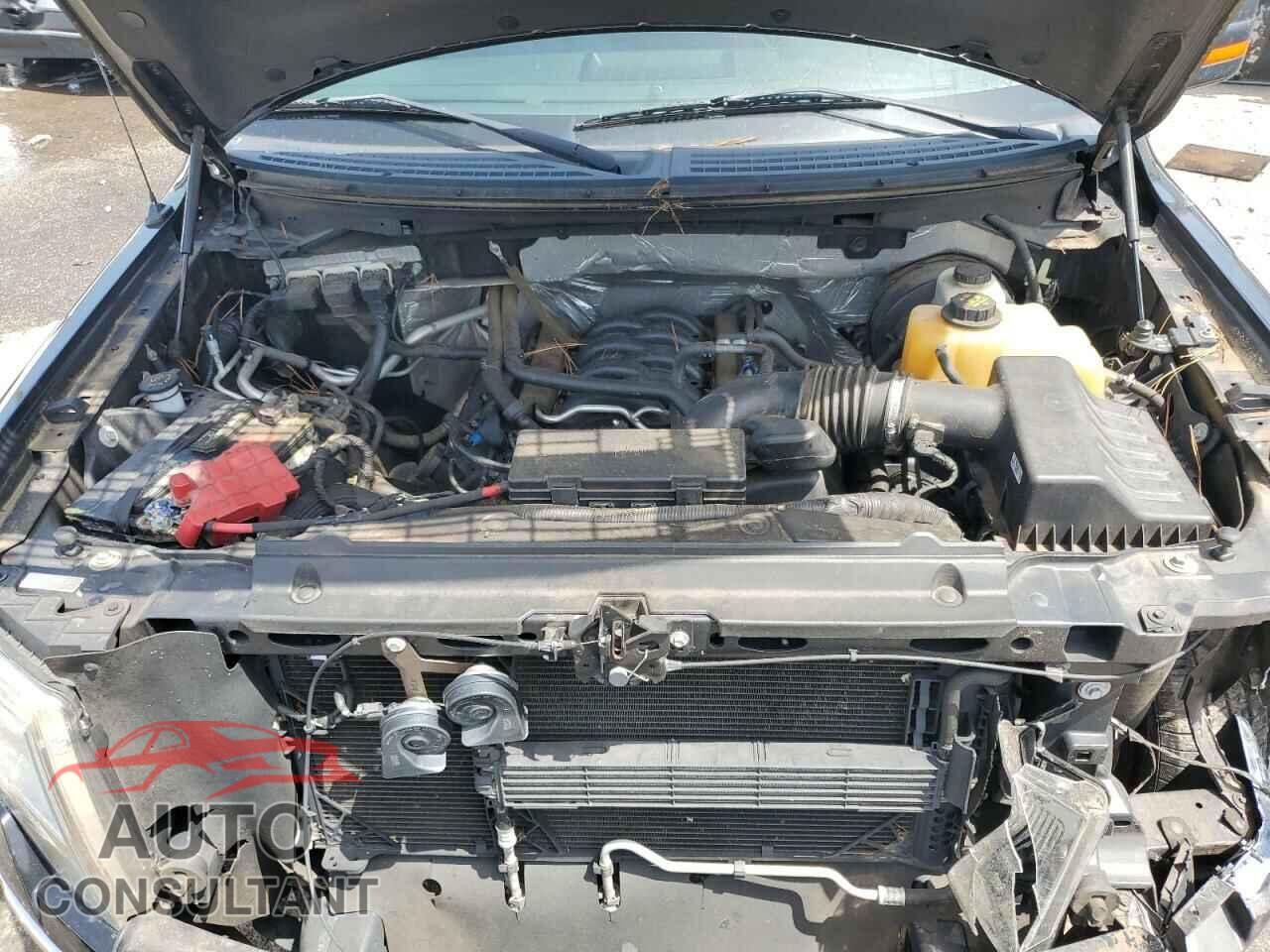 FORD F-150 2013 - 1FTFX1CF9DFD75433