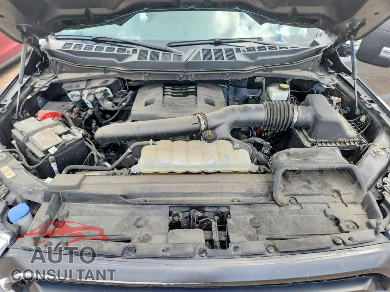 FORD F150 2022 - 1FTFW1E87NFC10483