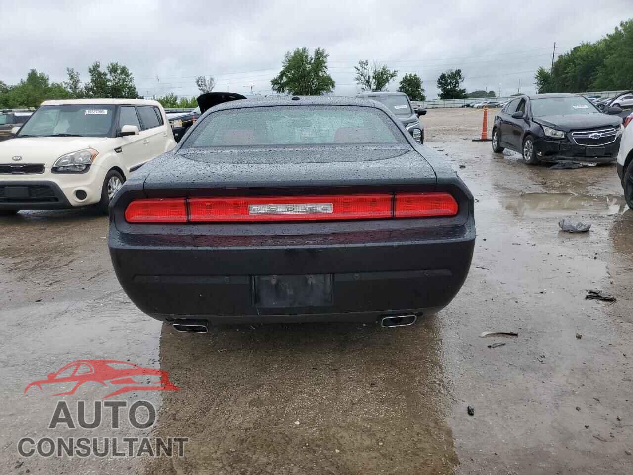 DODGE CHALLENGER 2014 - 2C3CDYAG5EH110559