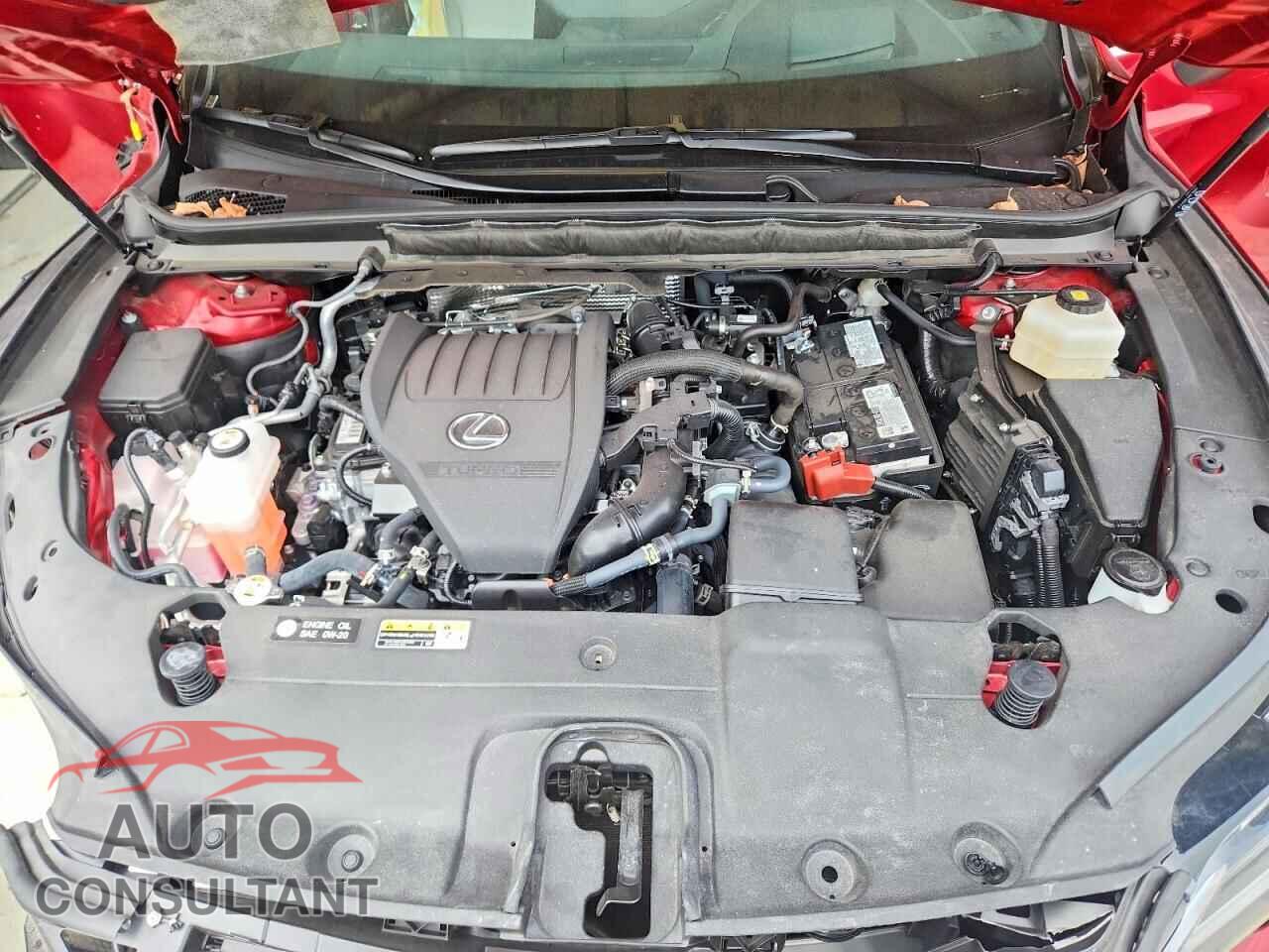 LEXUS RX350 2025 - 2T2BAMCA3SC116881