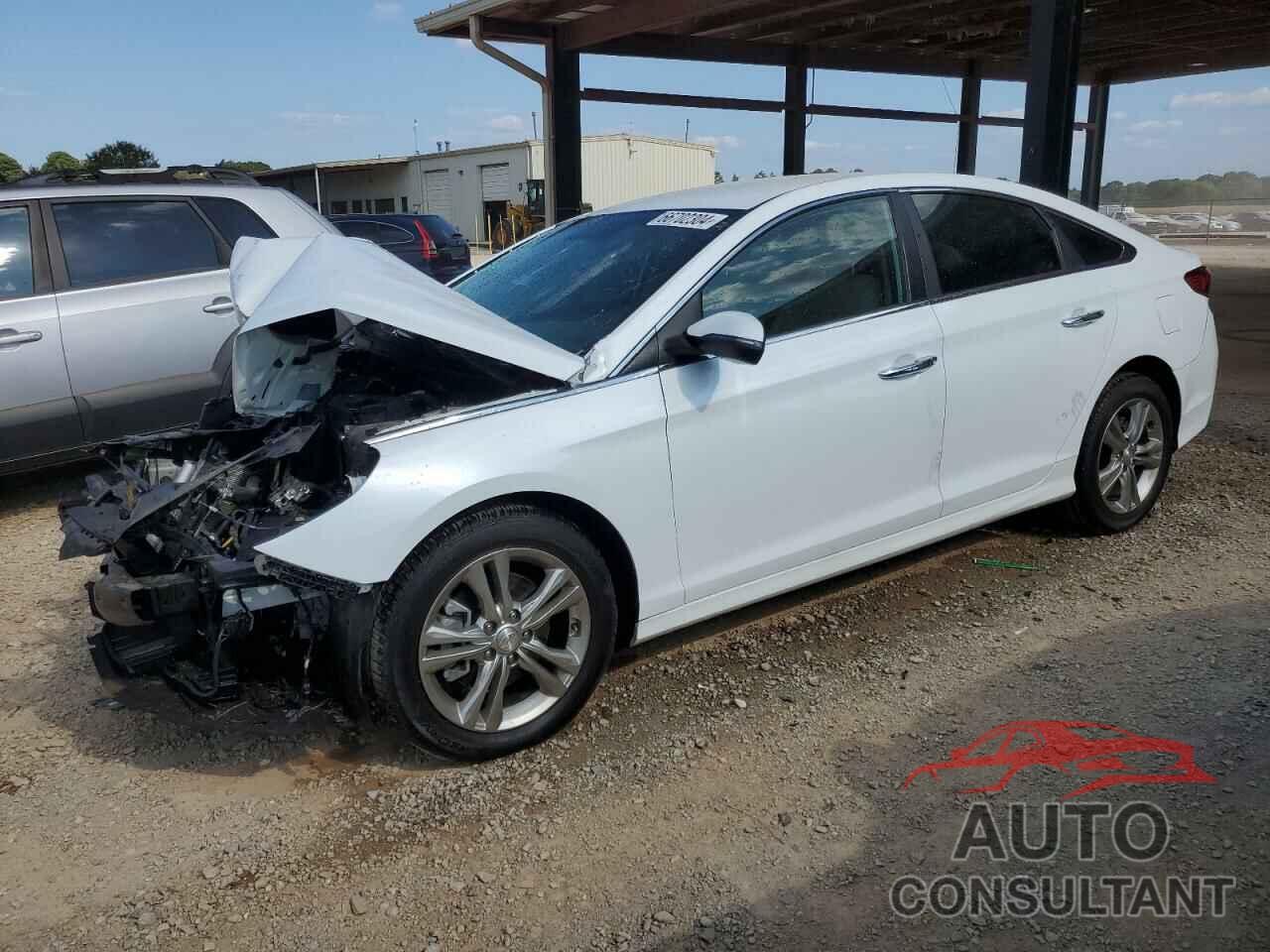 HYUNDAI SONATA 2019 - 5NPE34AF4KH737909