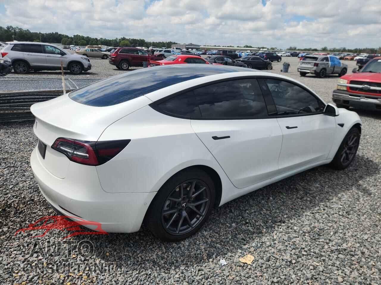 TESLA MODEL 3 2021 - 5YJ3E1EA2MF086781